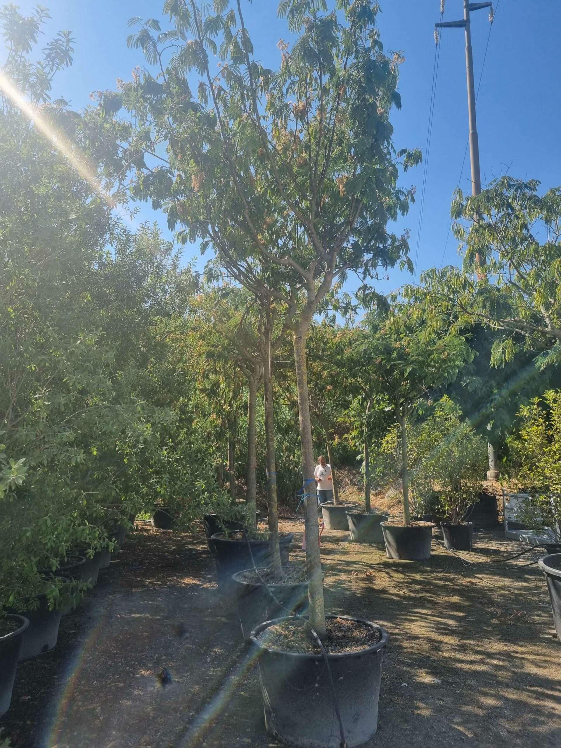 1692798295 scaled ecc00882