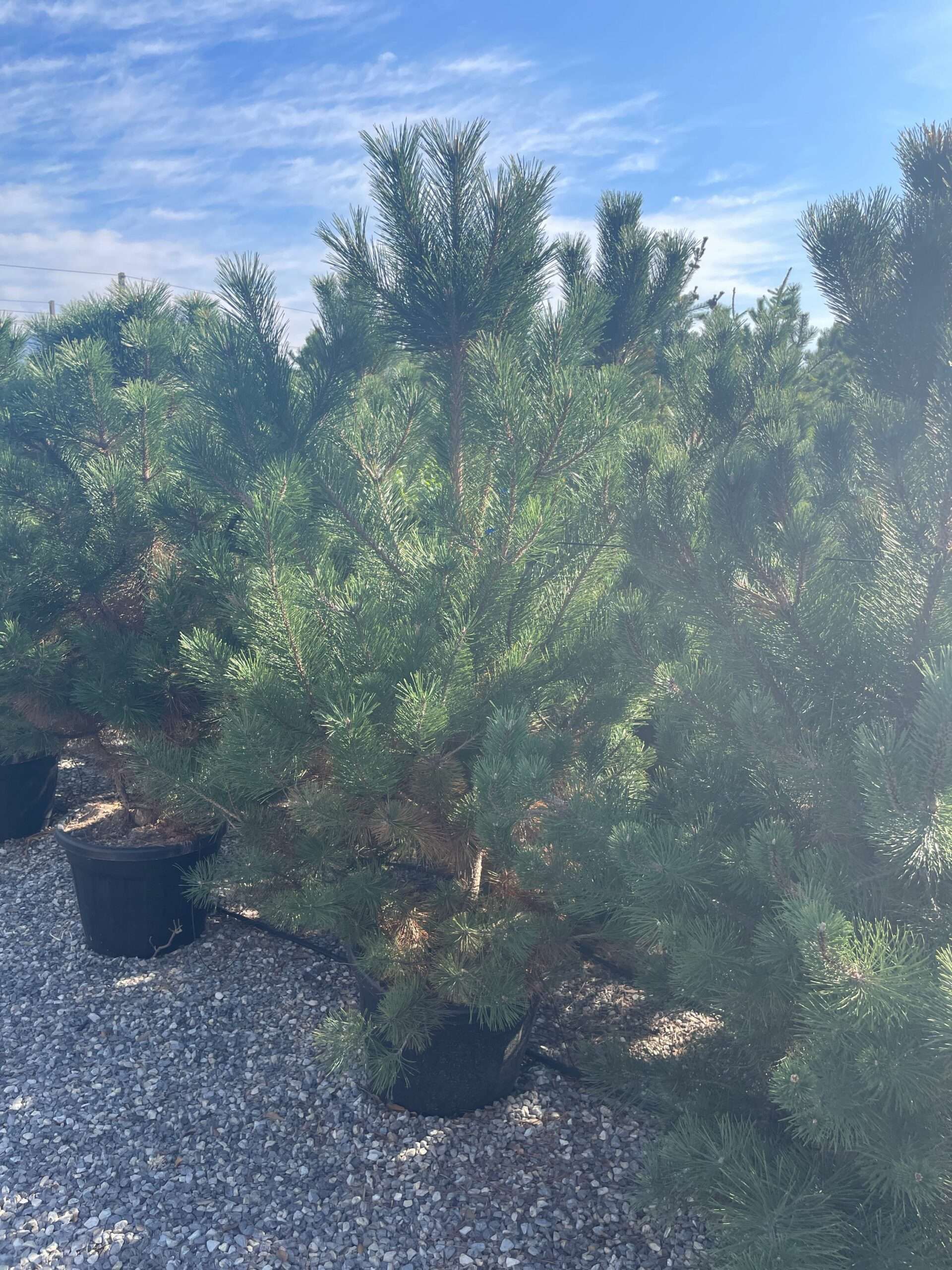 1694506131 scaled ec6132e9