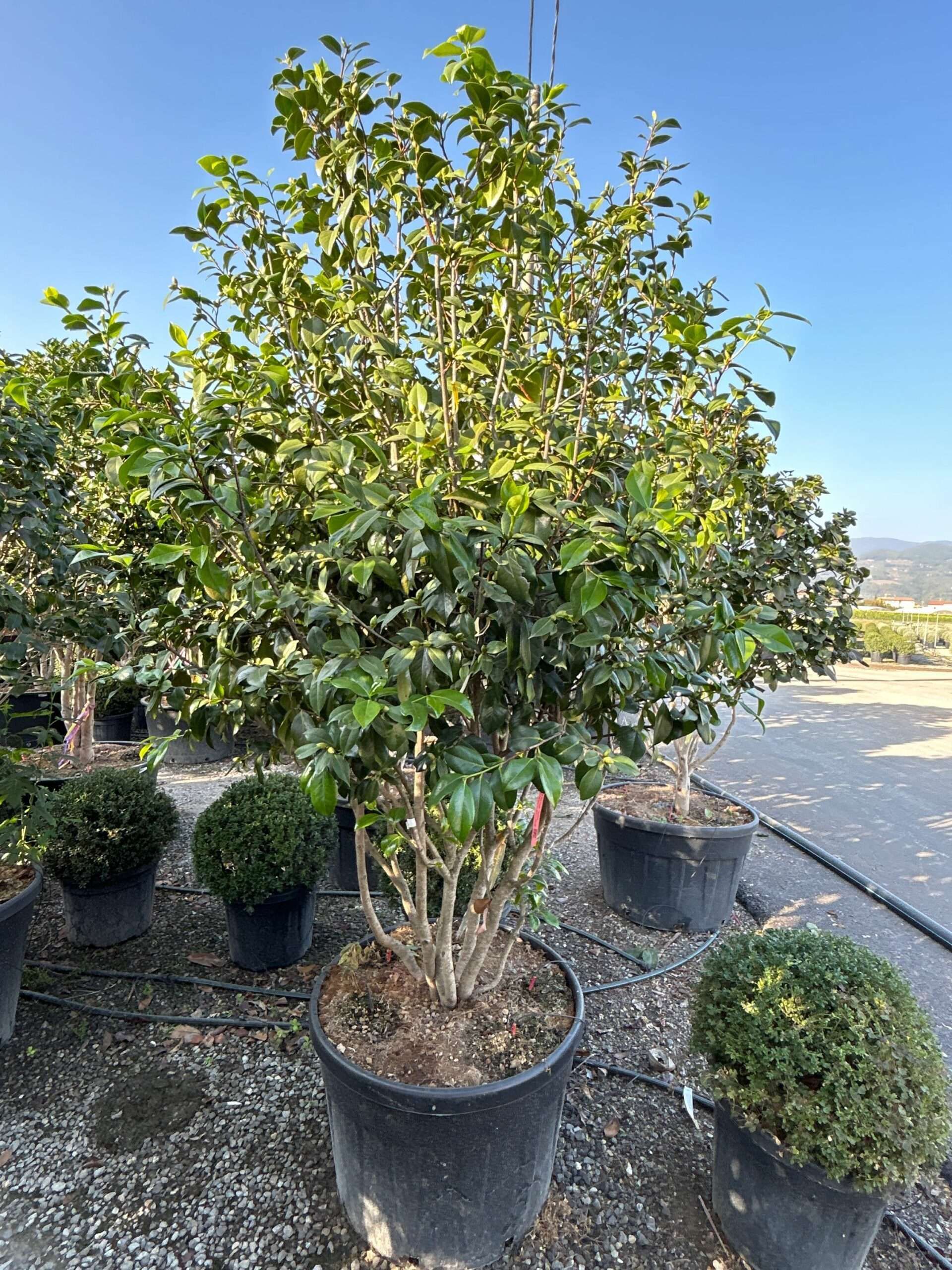 1696862389 scaled ec472cf8