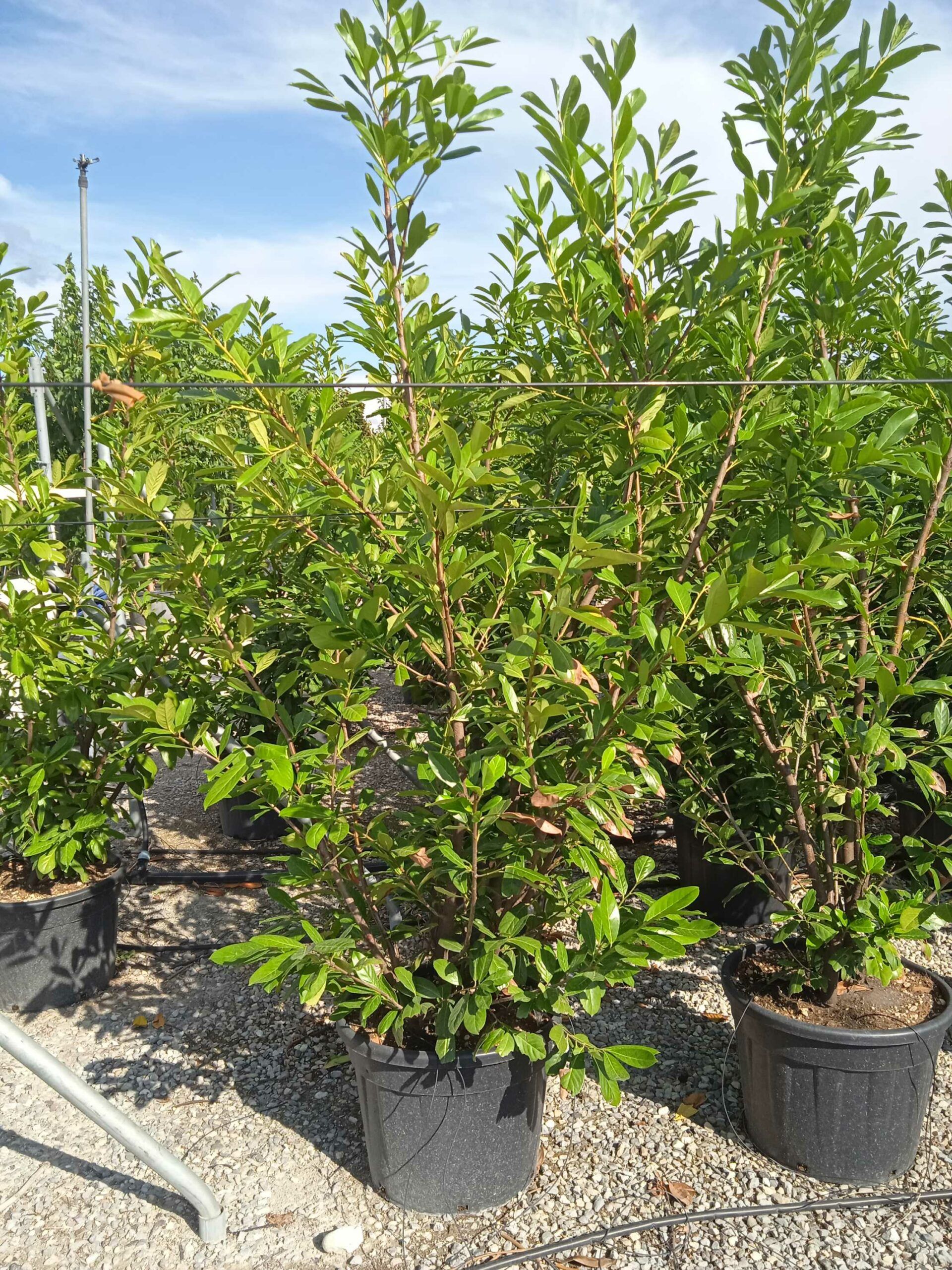 1662042886 scaled ed0ea480