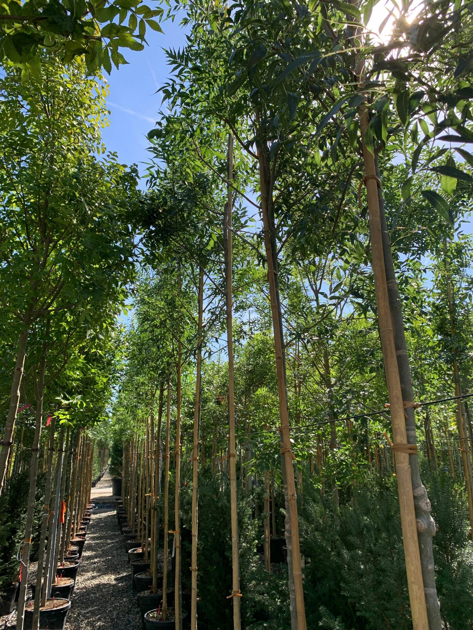 1662455318 scaled ed63e5b3