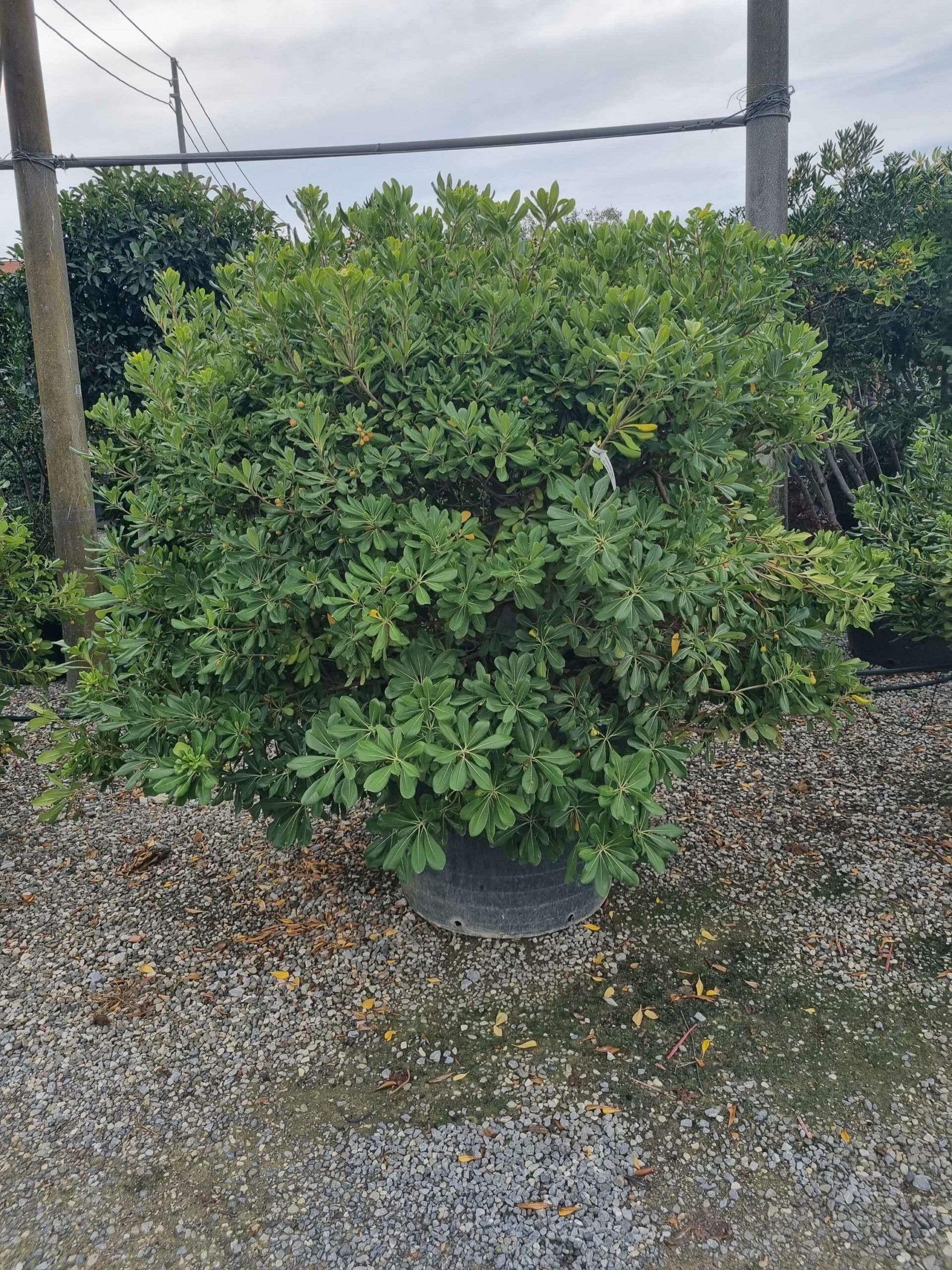 1668250270 scaled ed1bd97f