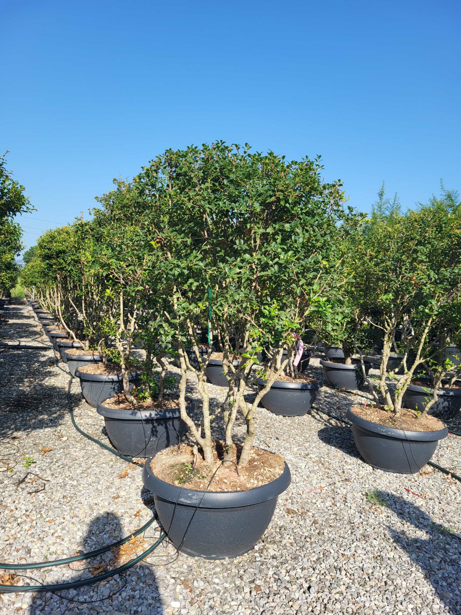 1692948641 scaled edf76a95