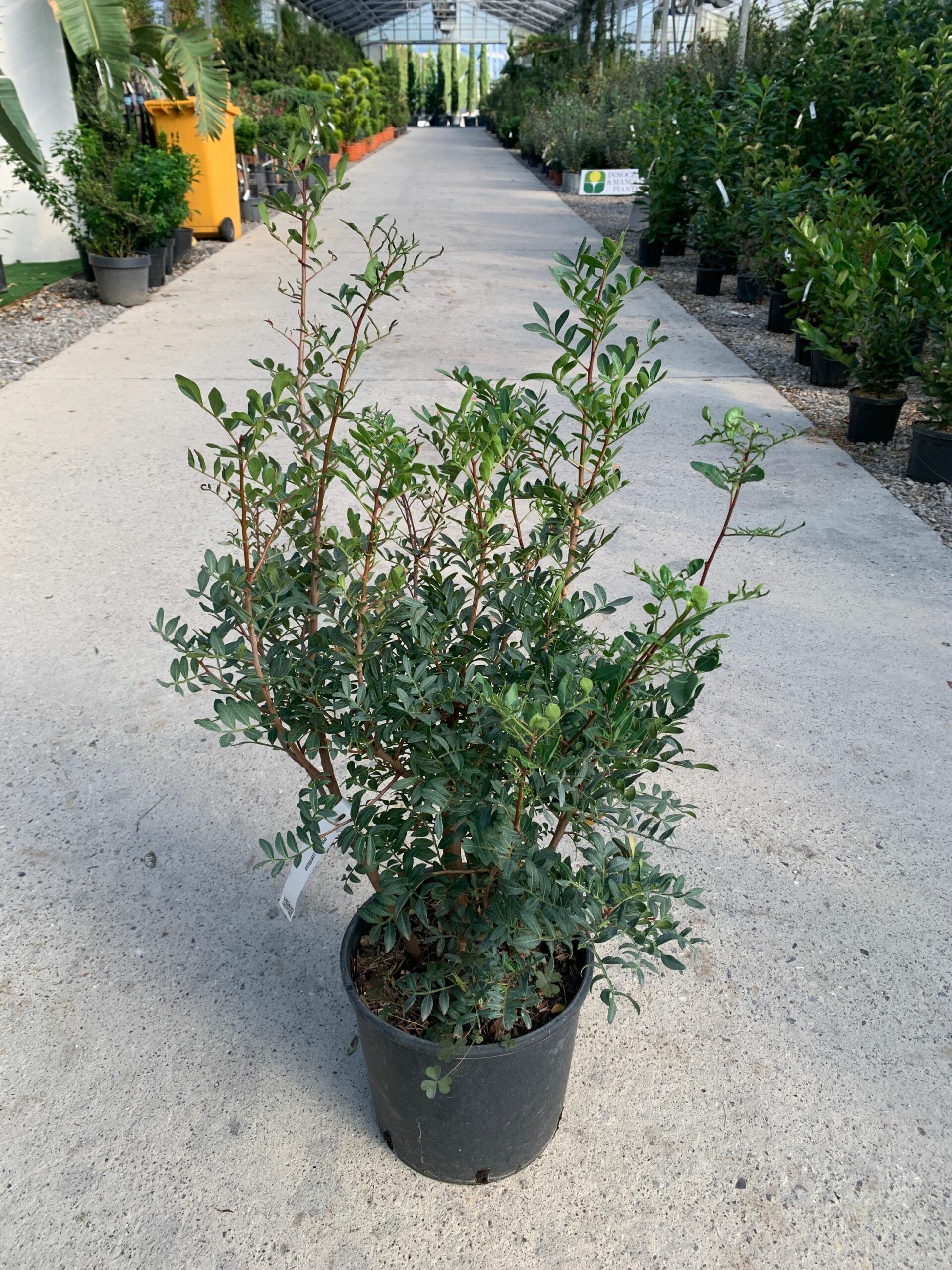 1634637256 scaled ee773630