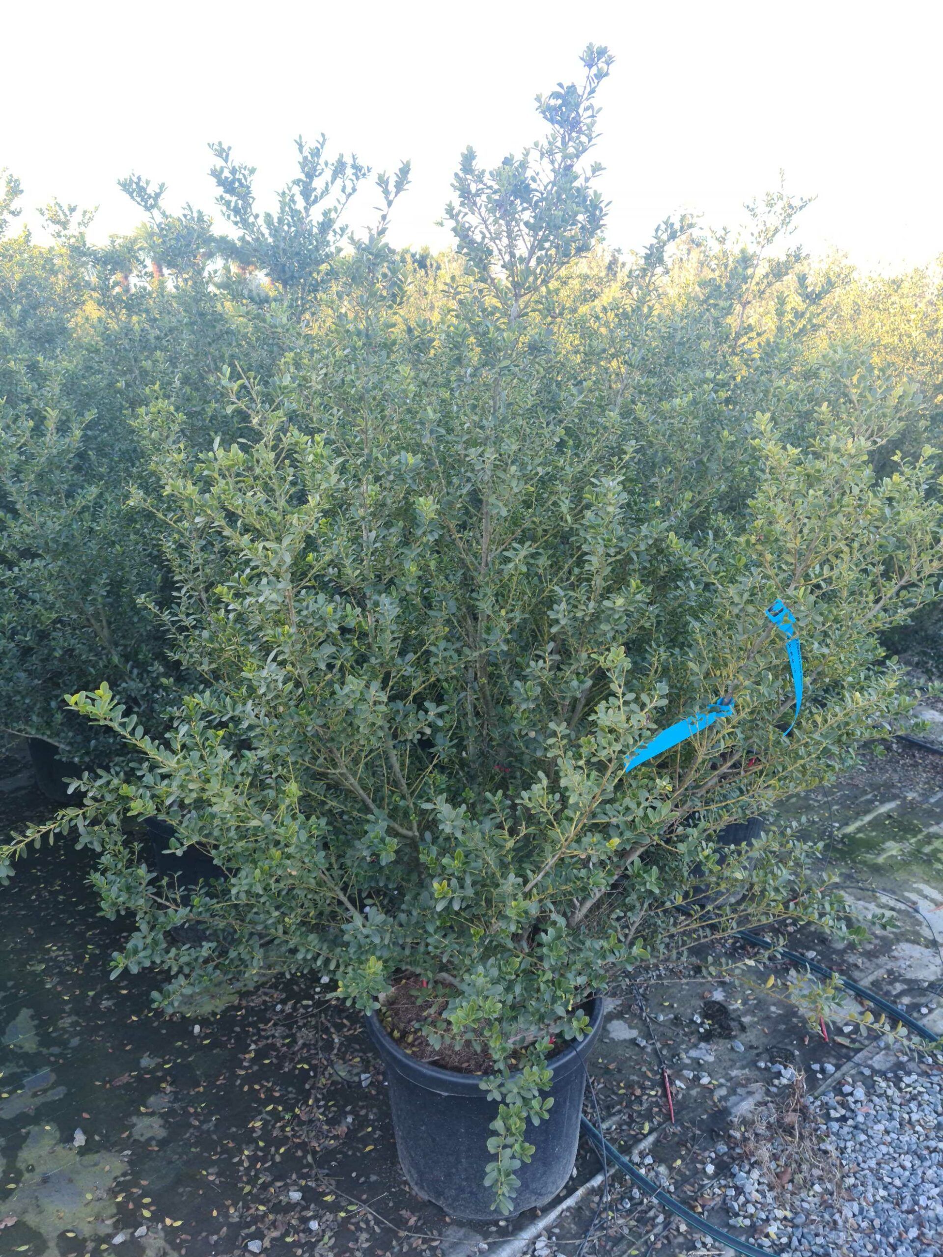 1639665639 scaled ee0ab75d