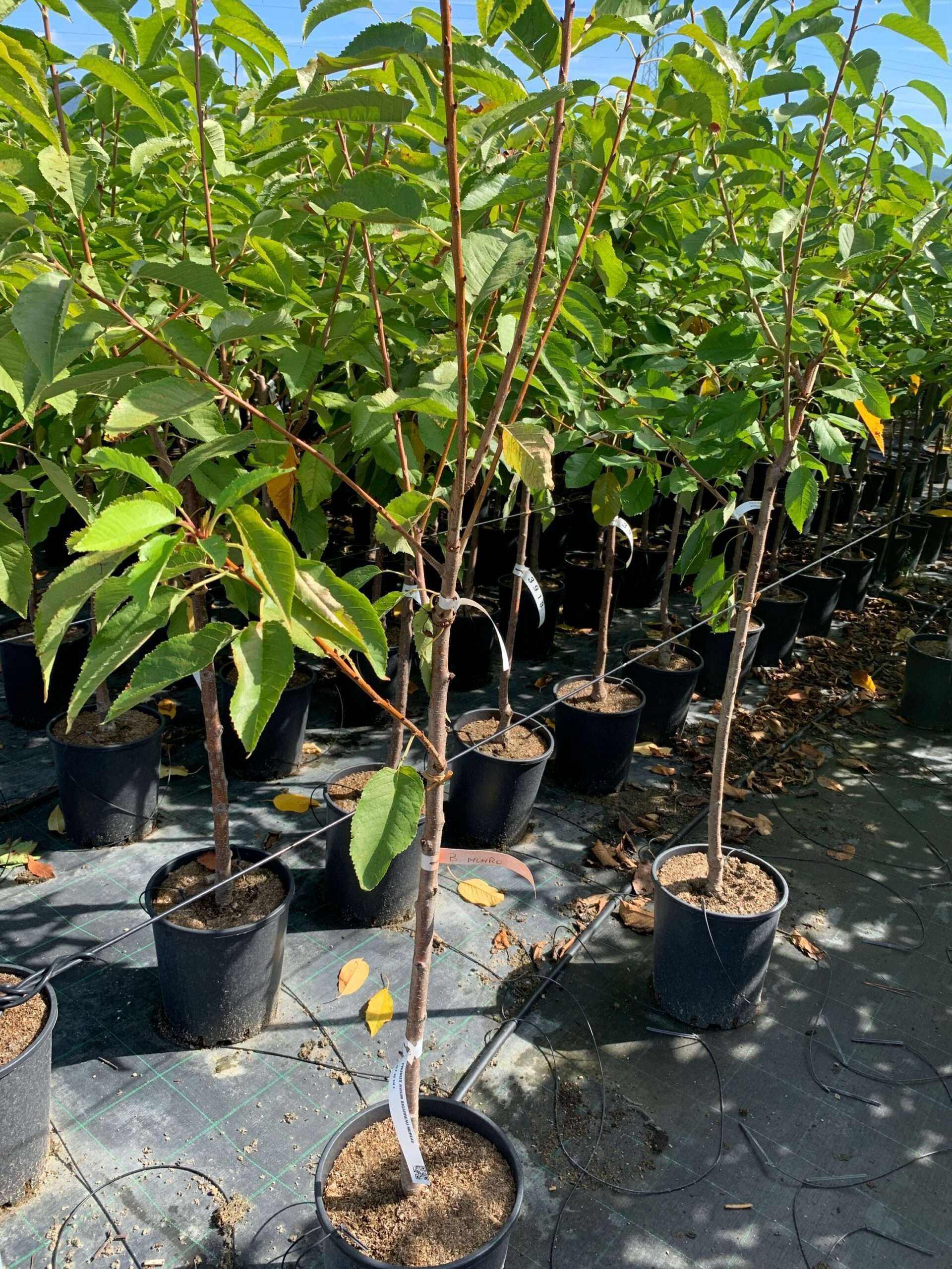 1662367637 scaled eebd6288