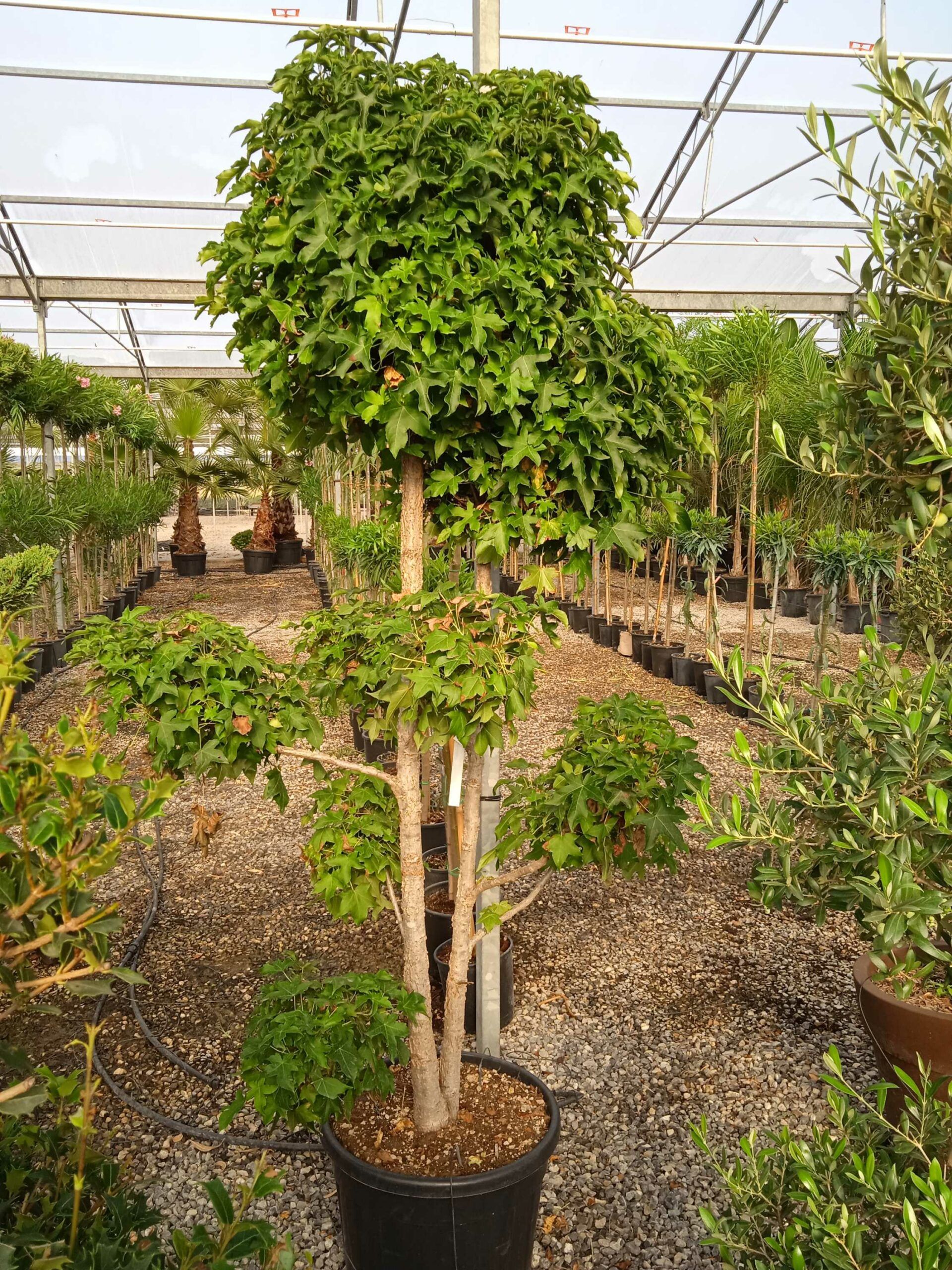 1662447817 scaled eecf3ecd