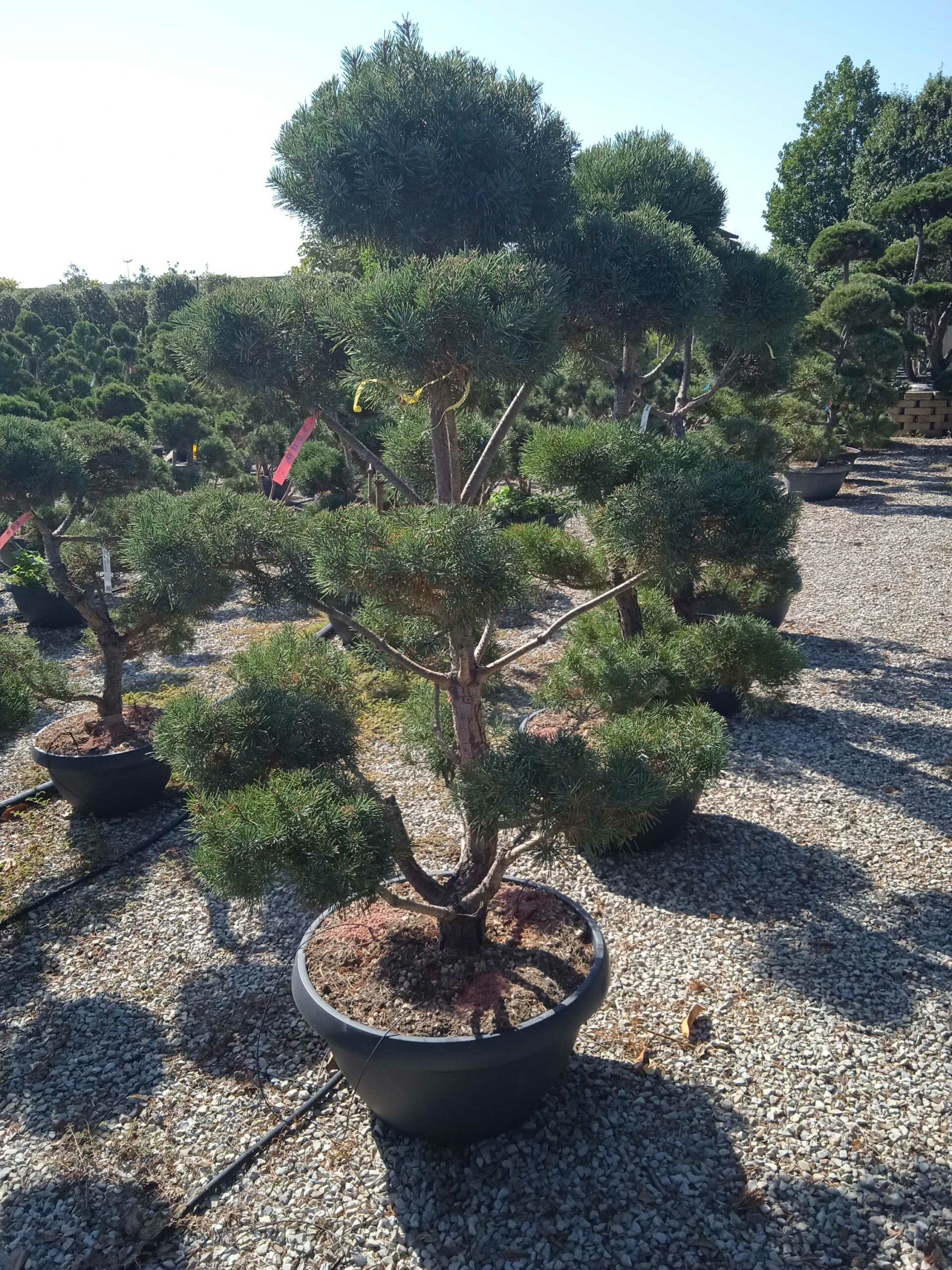 1662540651 scaled ee4c6aa7