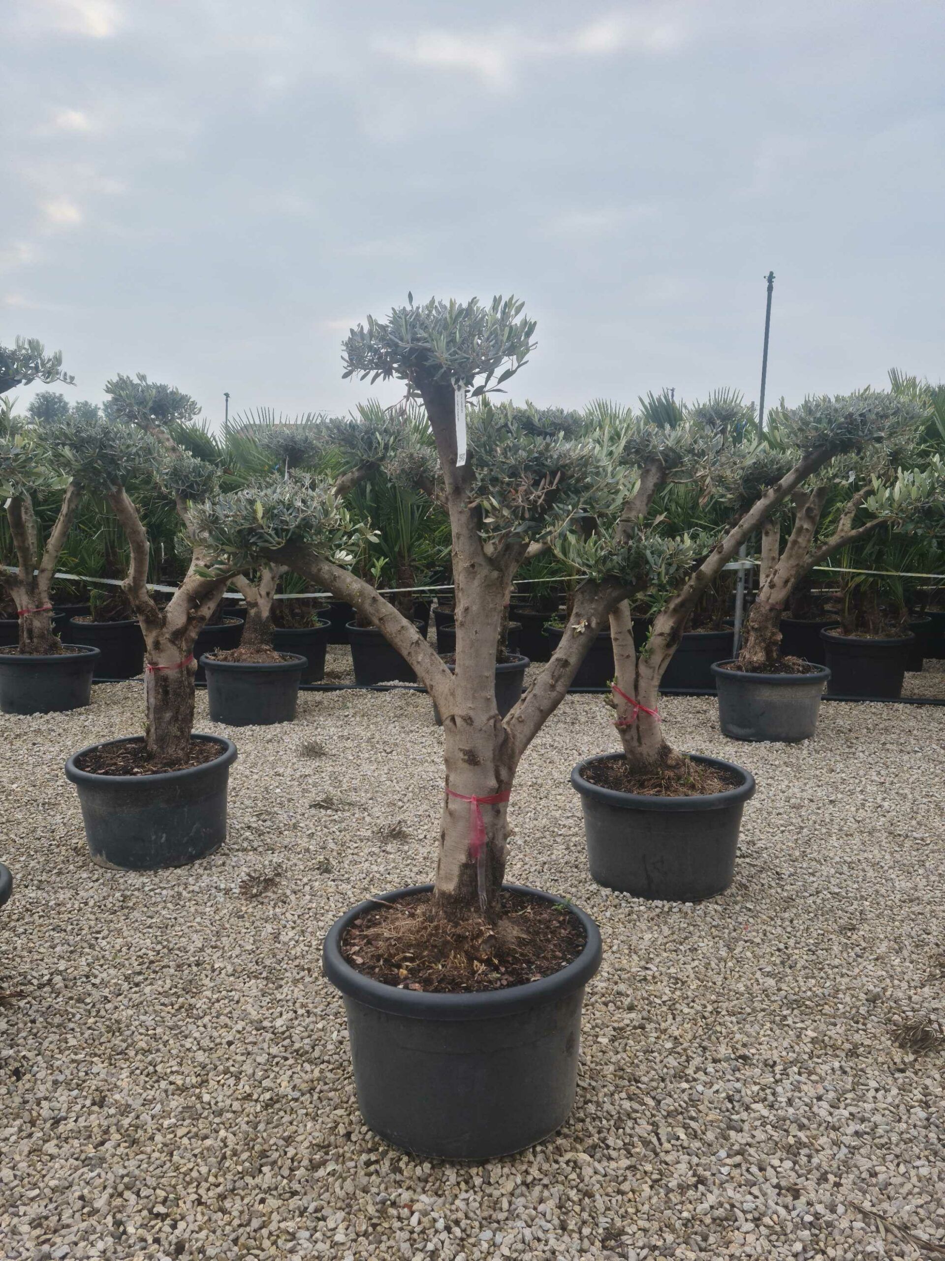 1677058701 scaled ee42abd8