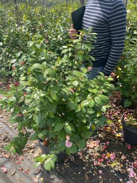 1682684179 IMG 7716 ee004252