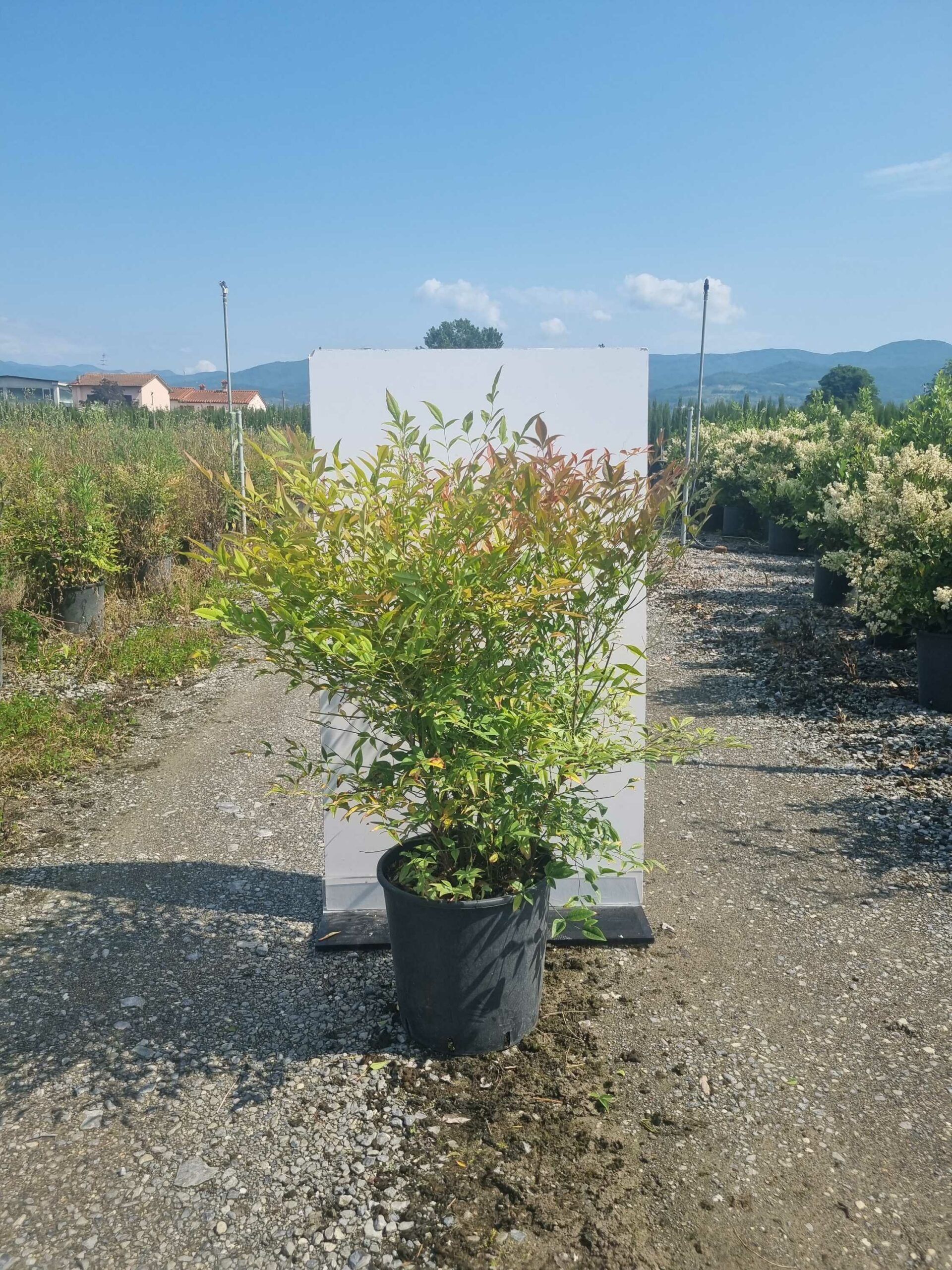 1685435510 scaled ee613fbb