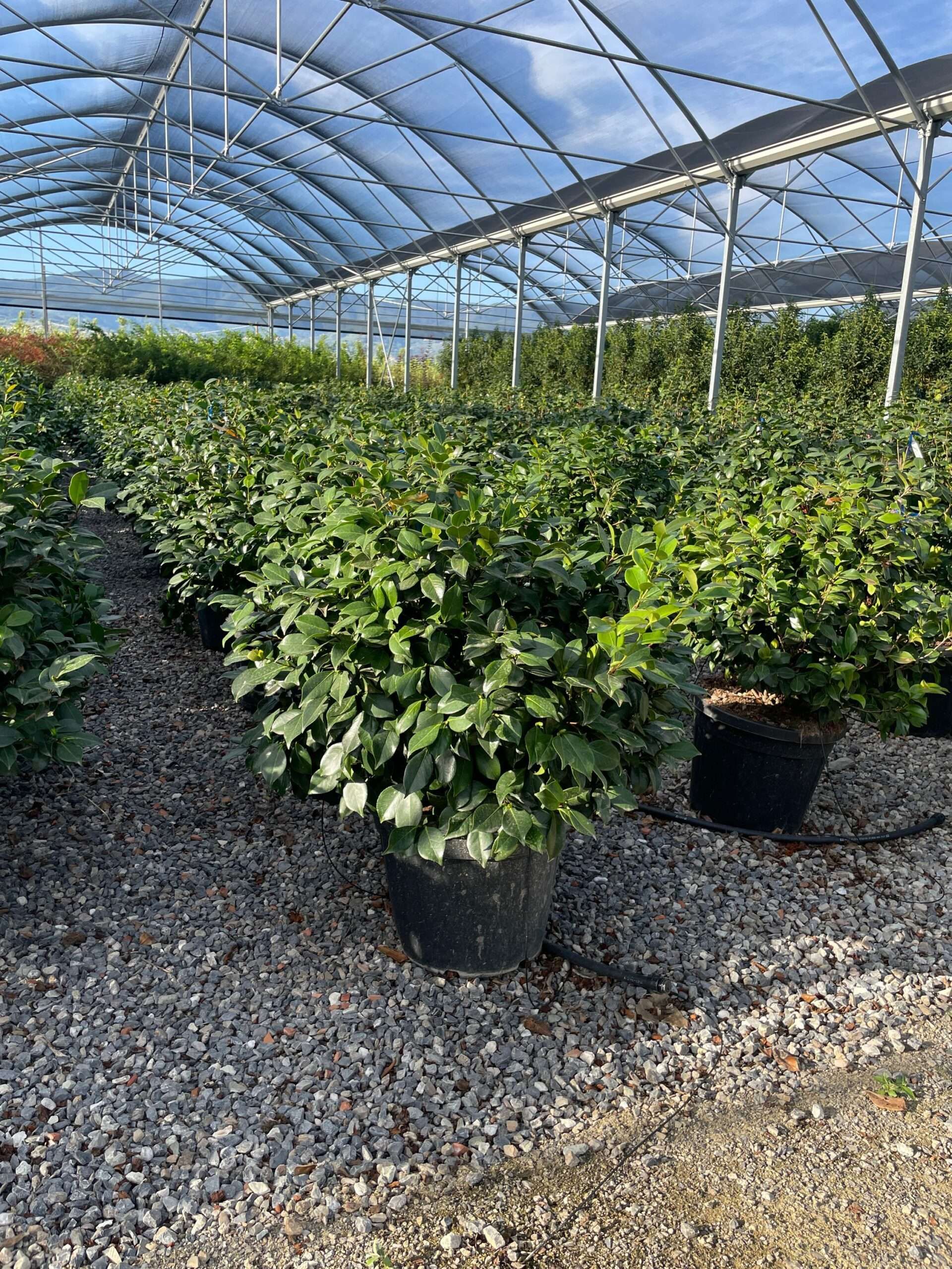 1691511991 scaled ee267bd9