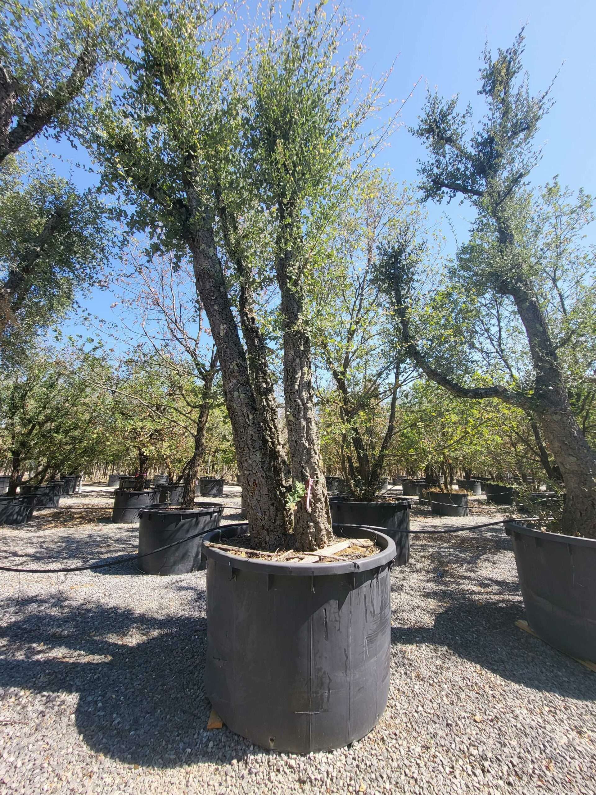 1692709364 scaled ee588de2