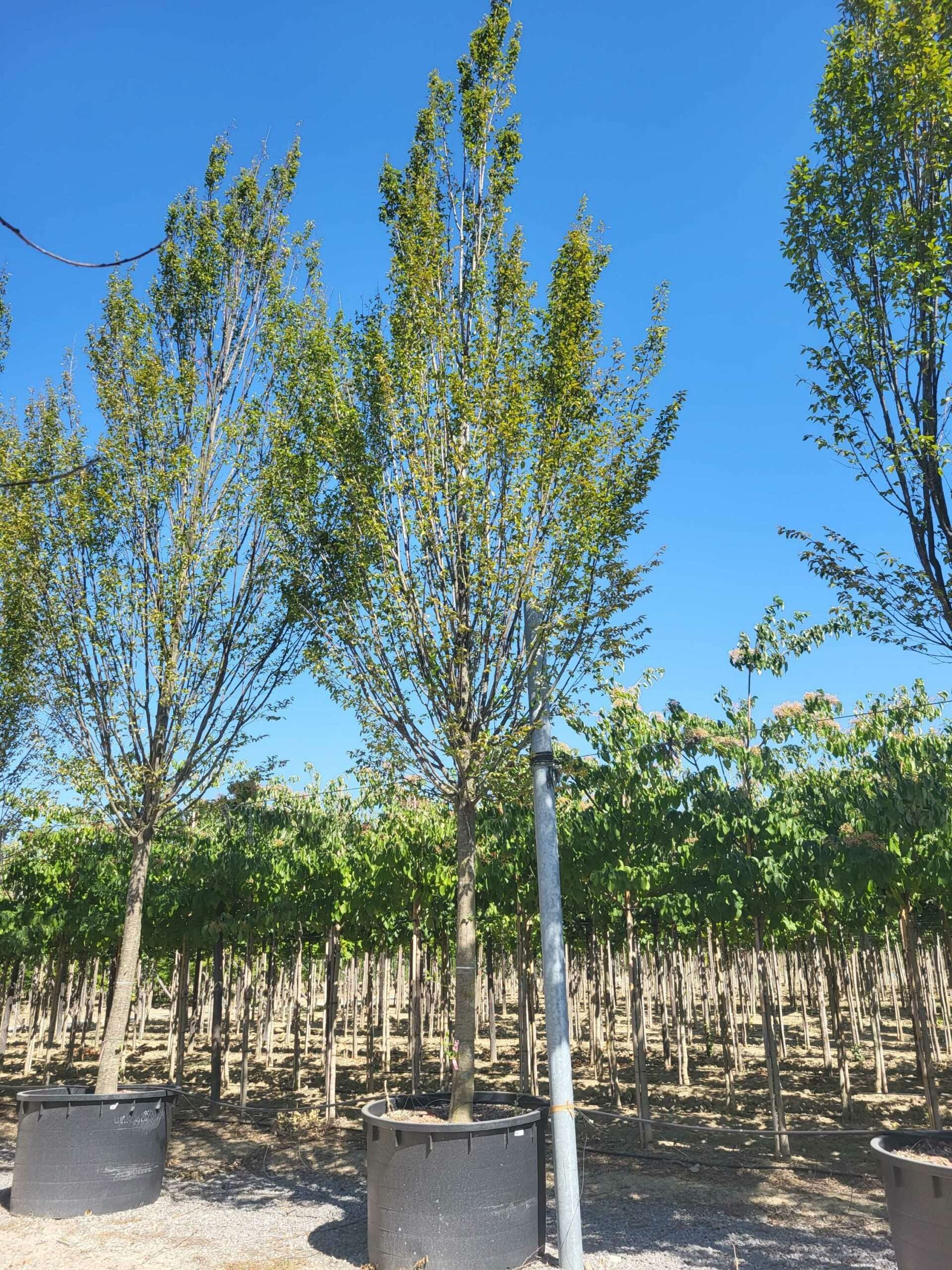 1692710977 scaled ee8f5e98