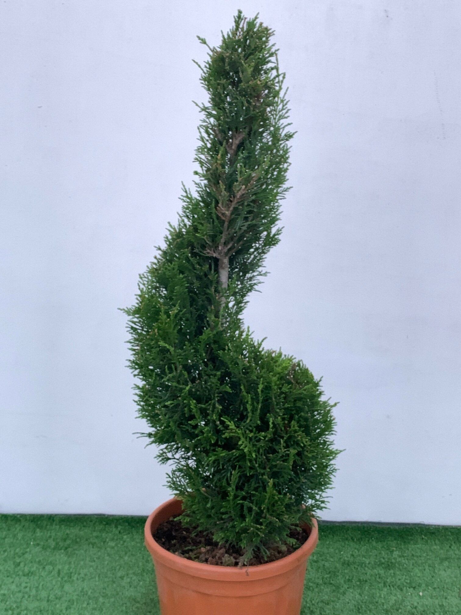 1608287311 rotated efdc7b12