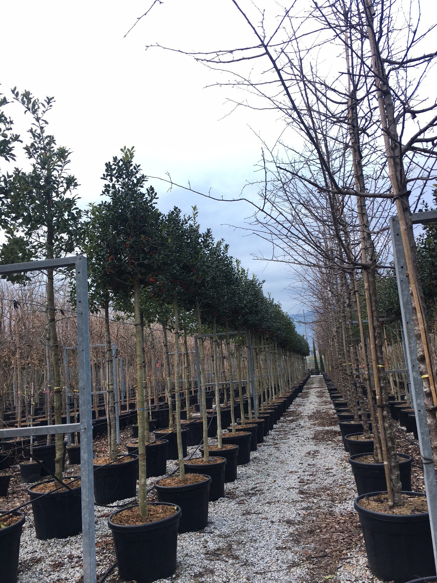 1610102789 rotated efa101cf