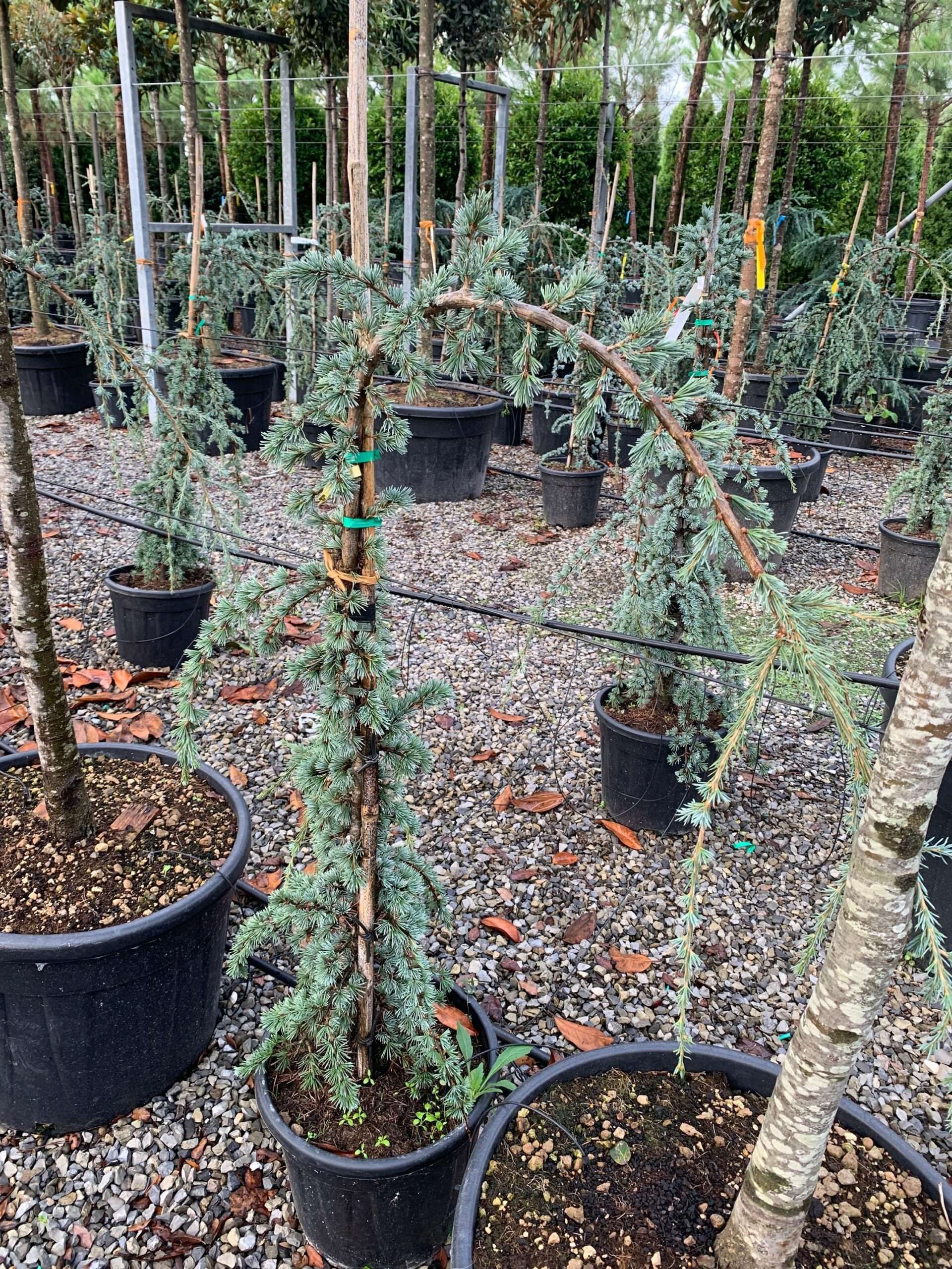 1633418635 scaled effbb314