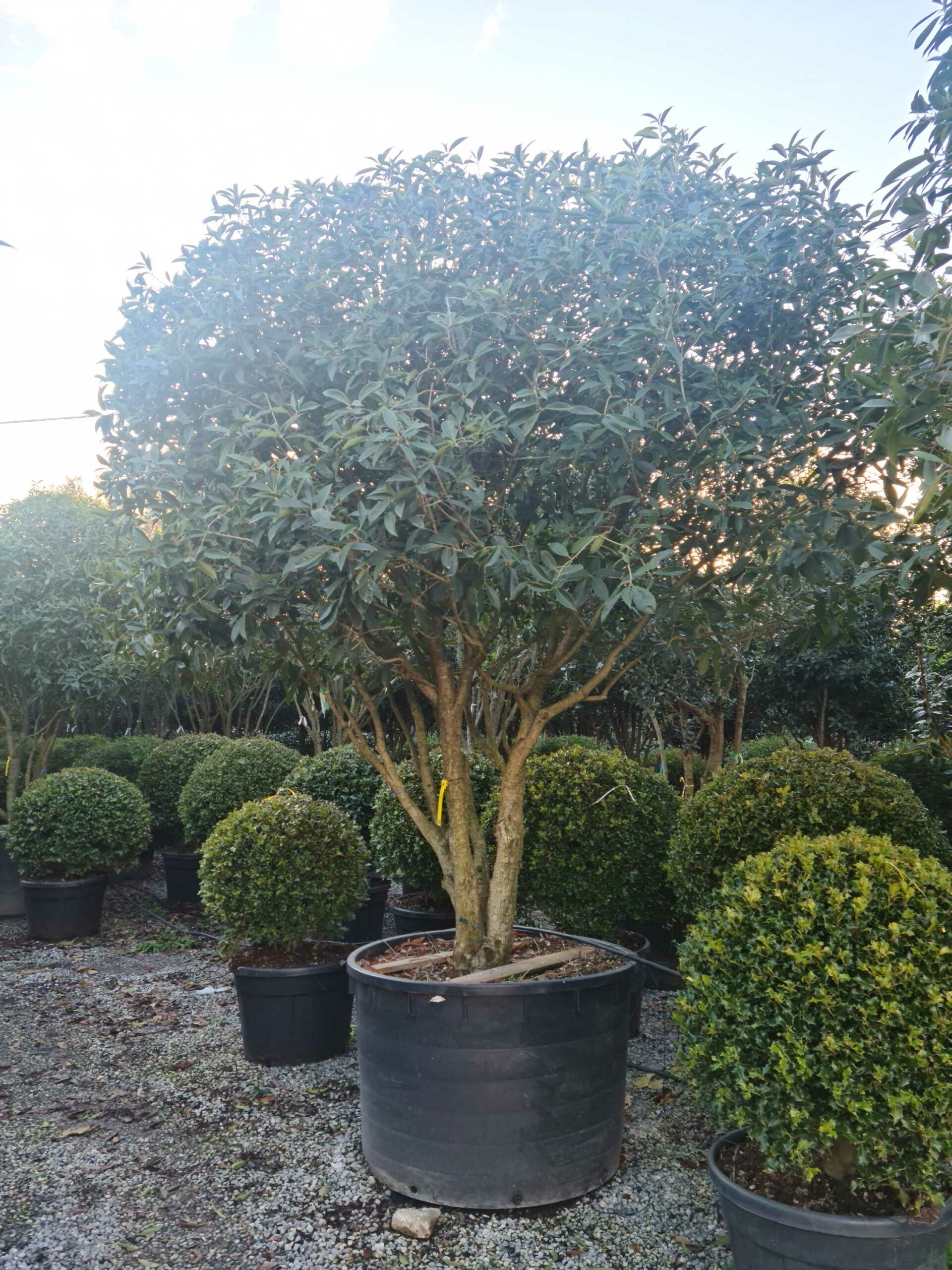 1639407673 scaled ef0886f5