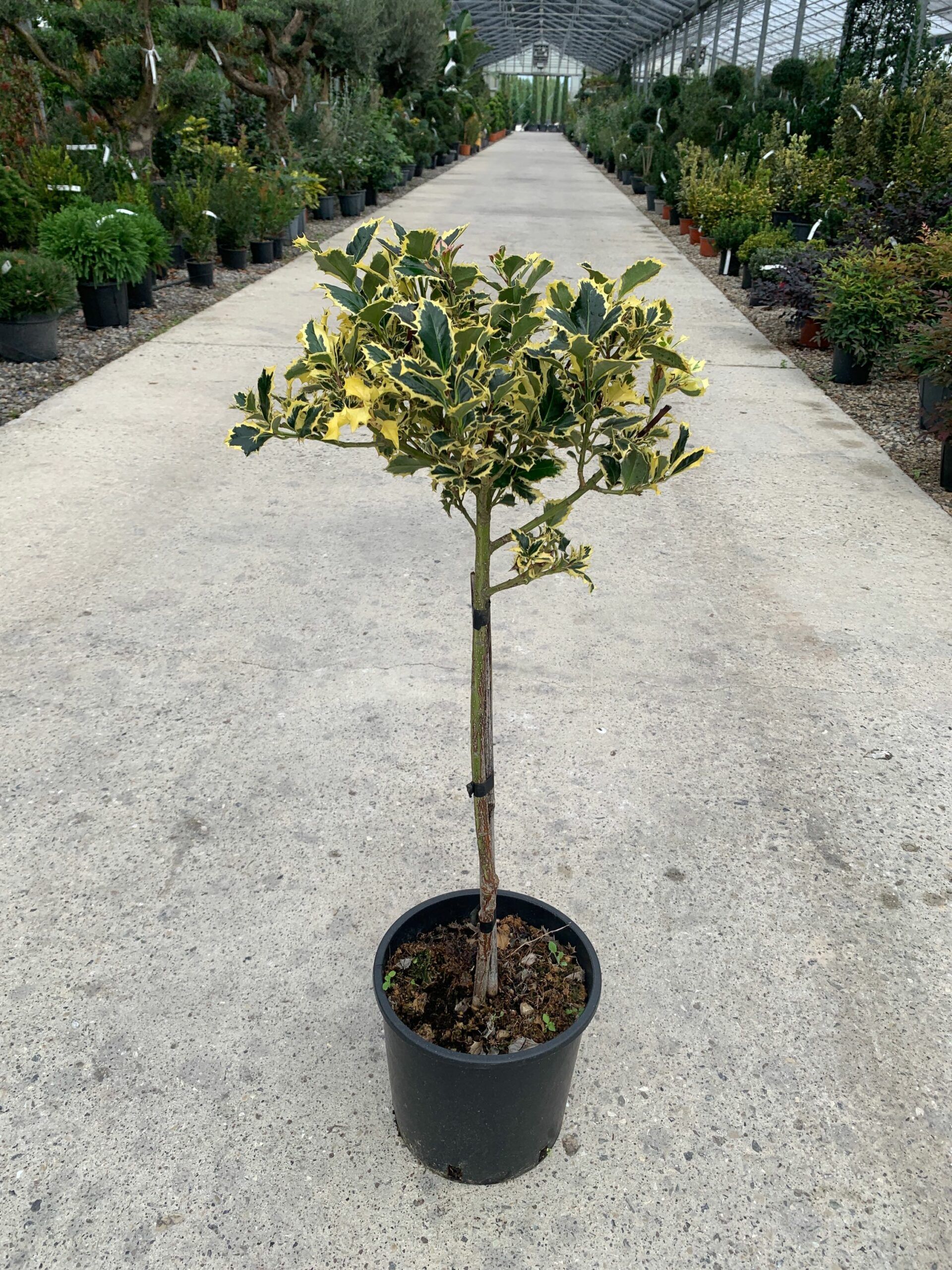 1647256365 1637575044 scaled efe606f4