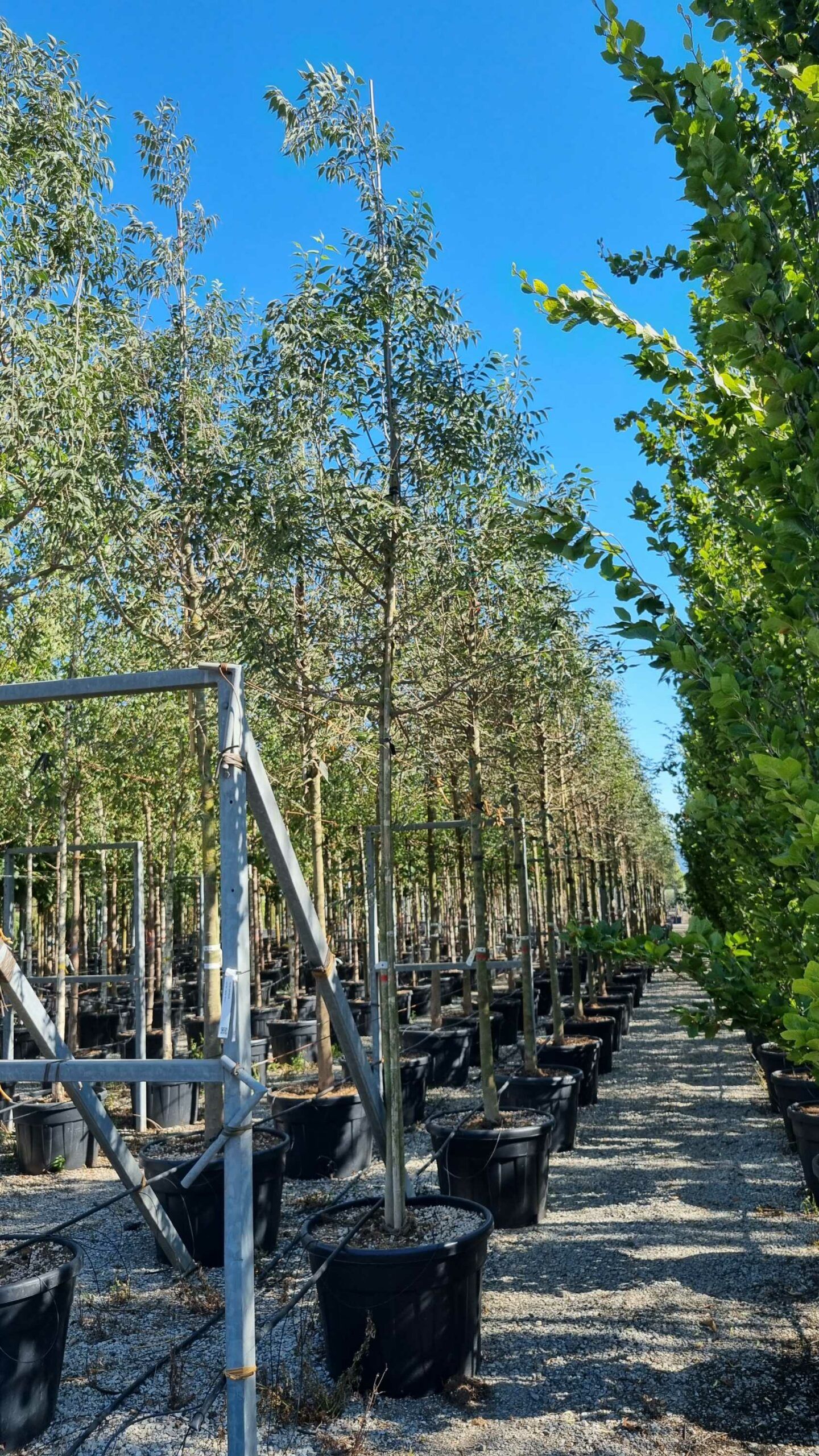 1657898877 scaled ef9c5cc4