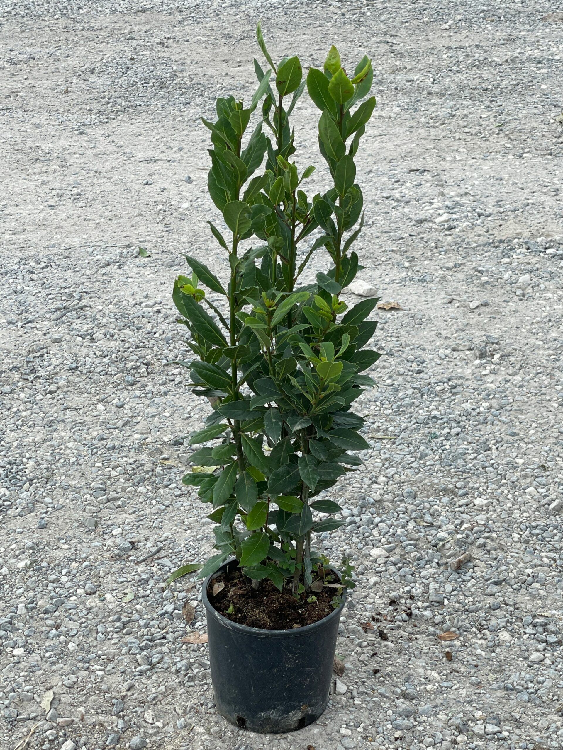 1661952481 scaled ef8c3773