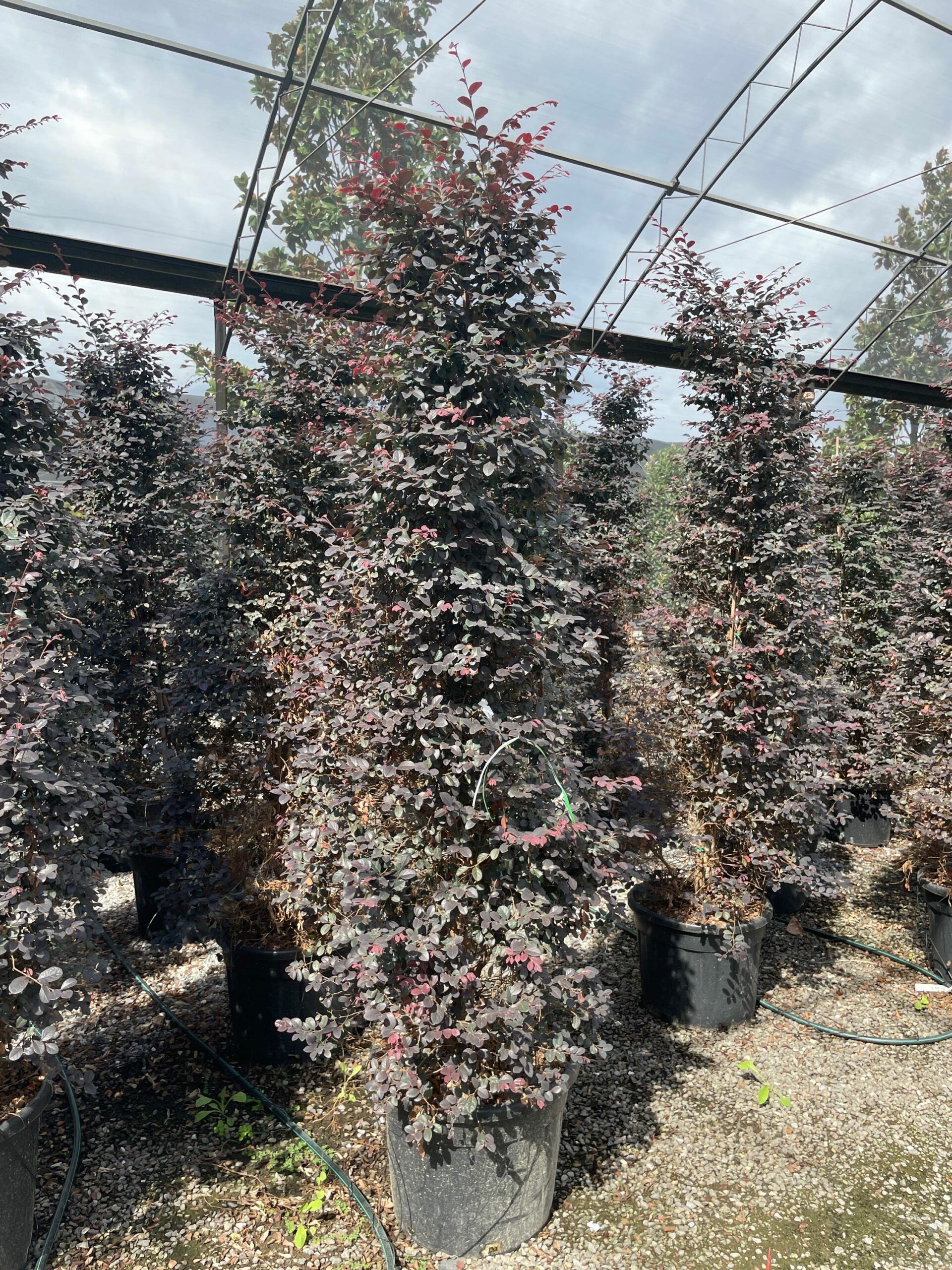 1662716579 scaled ef7a9897