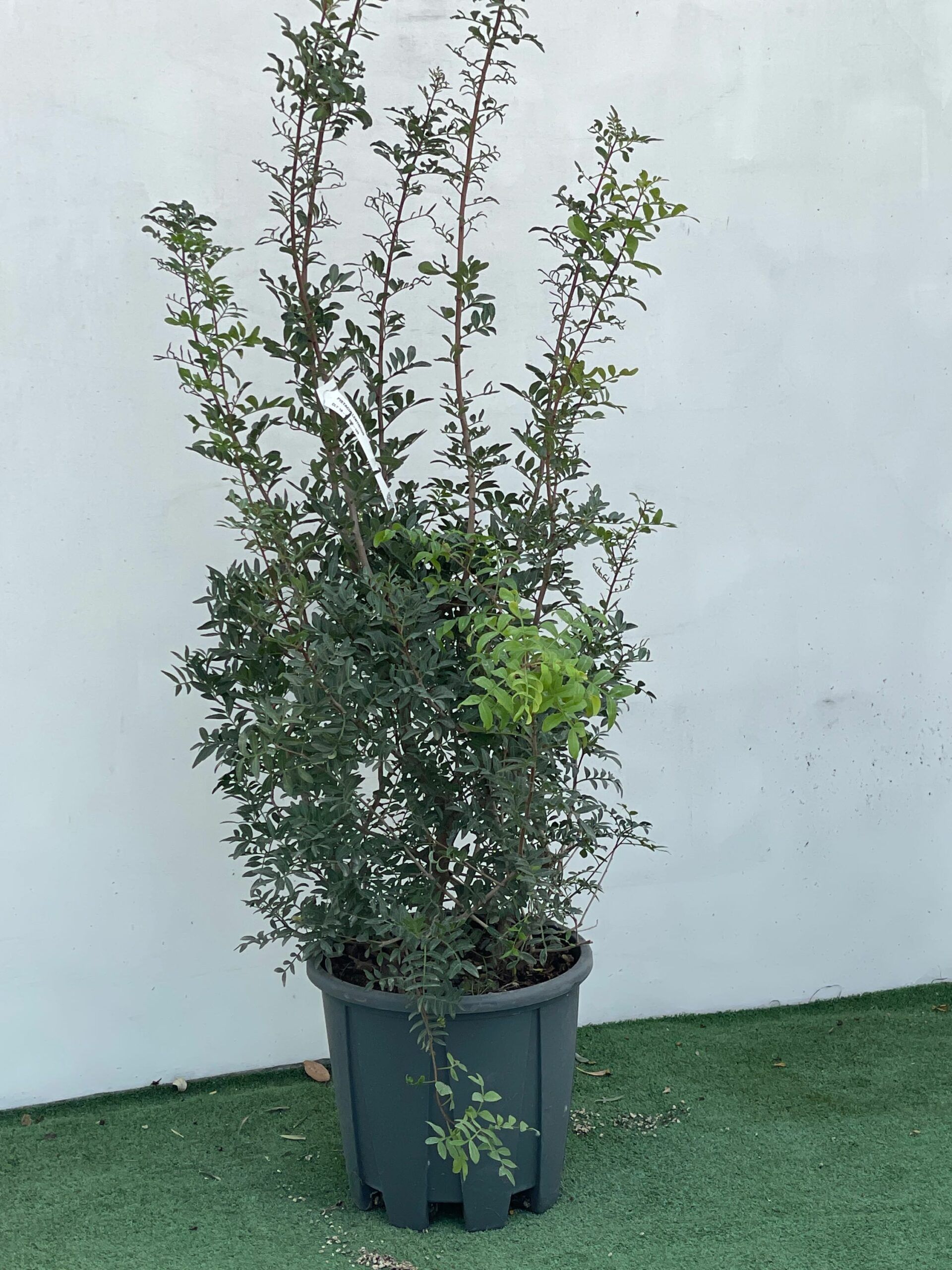 1674221734 scaled ef827e68