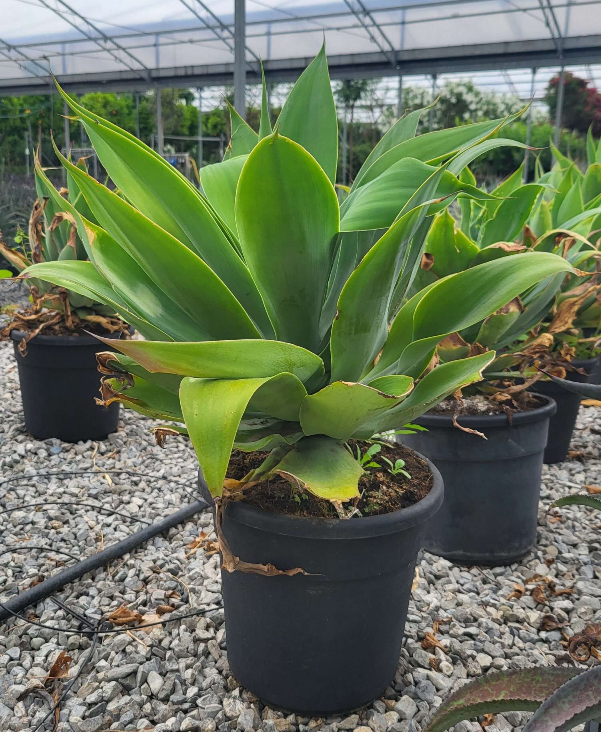 1683731921 scaled ef1a3c66