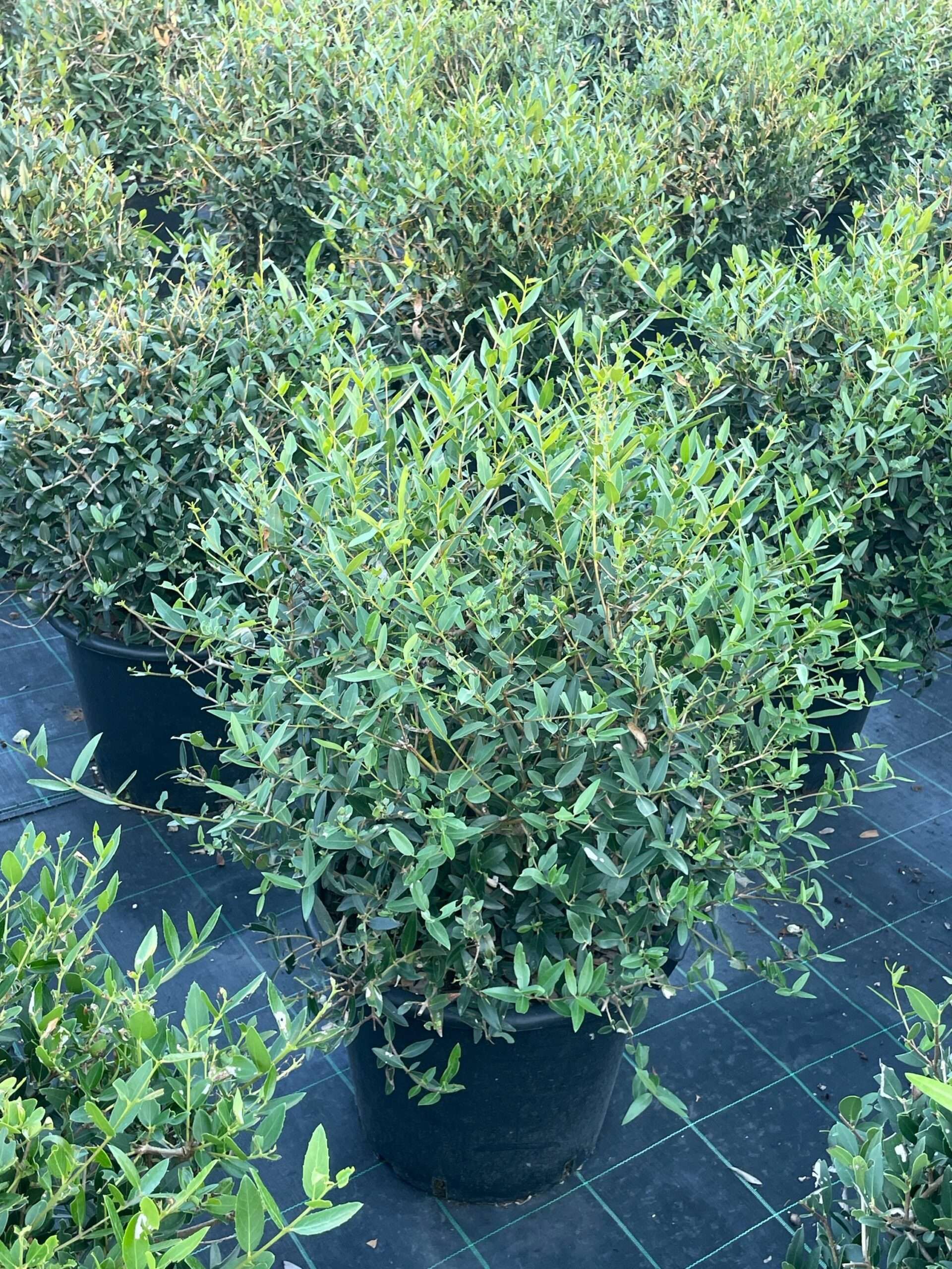 1692724576 scaled ef5f67a8