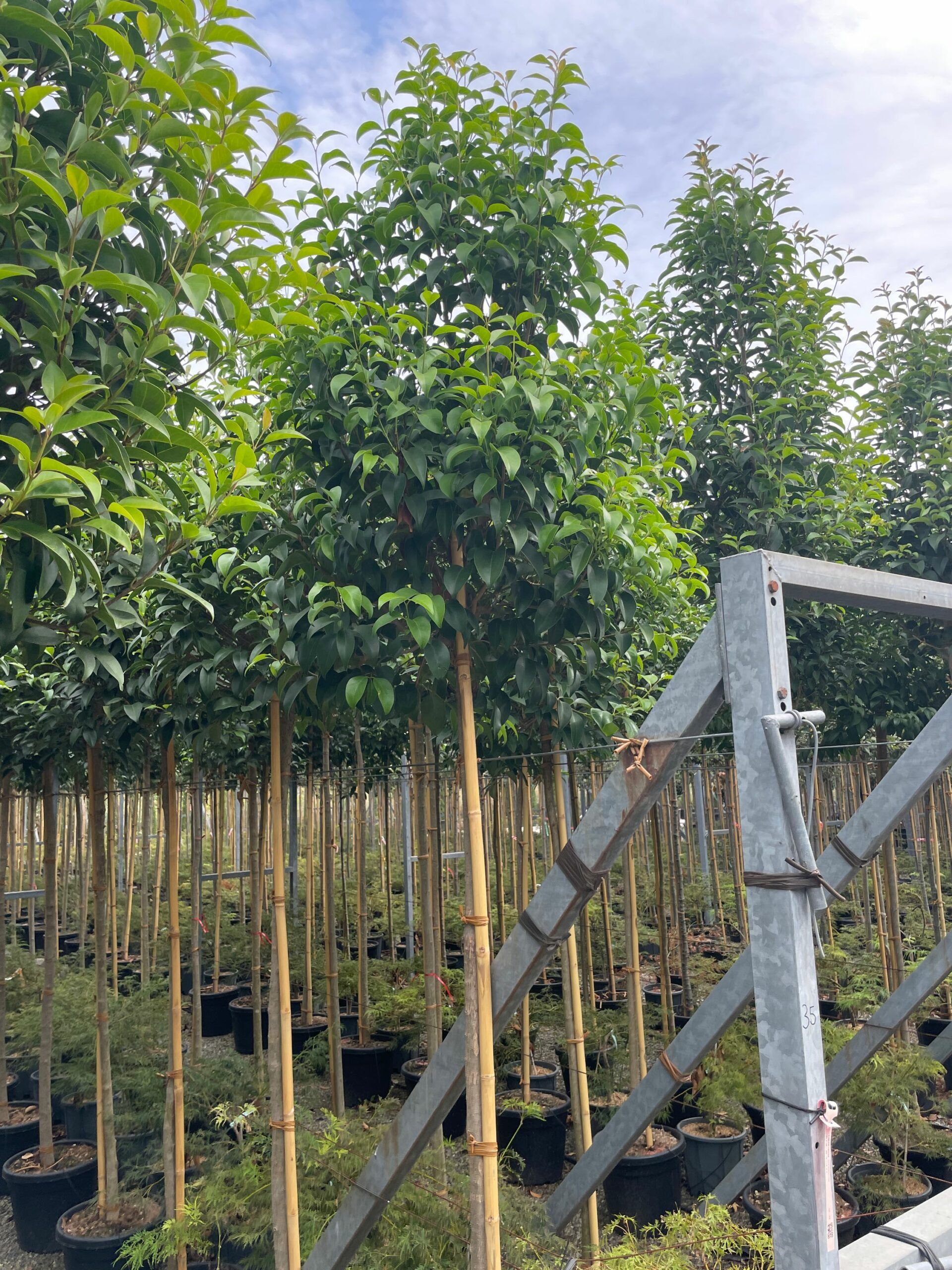 1695199421 scaled ef8d3543