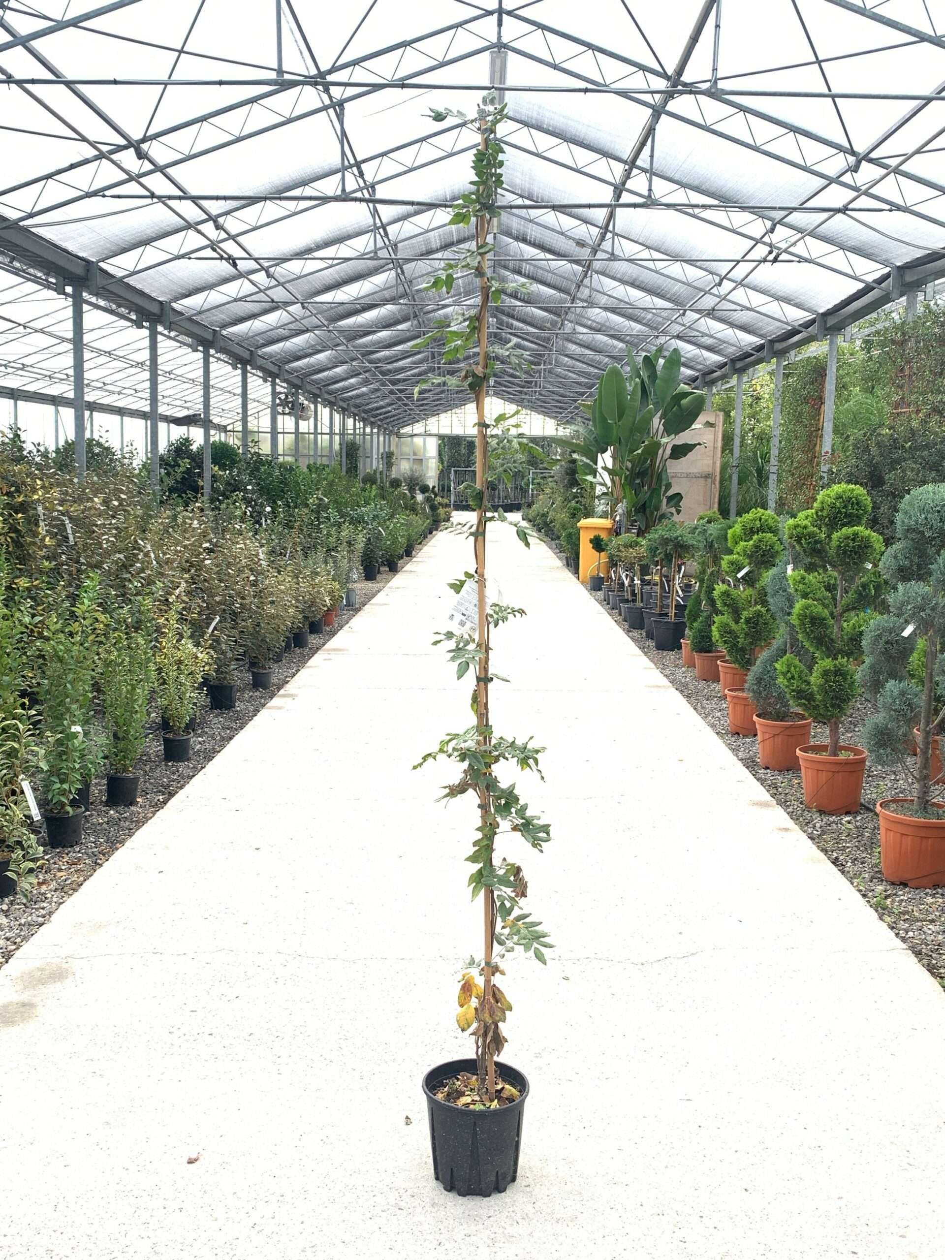 1637575709 scaled f08551d4