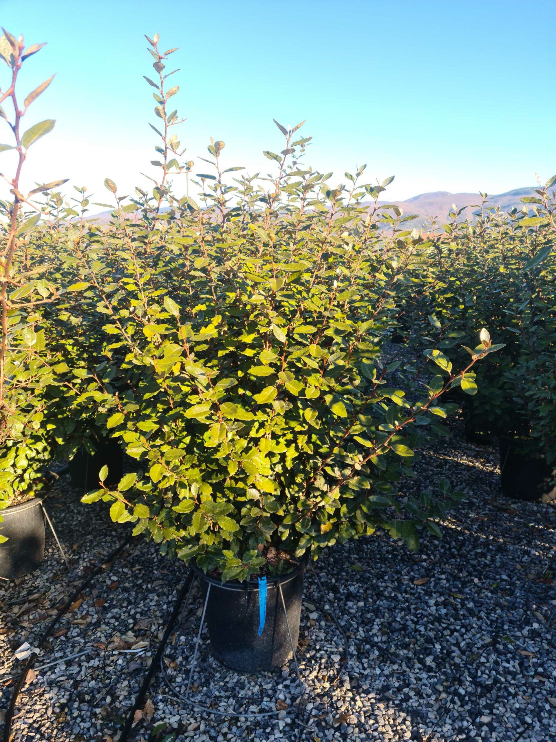 1639729412 scaled f0598371