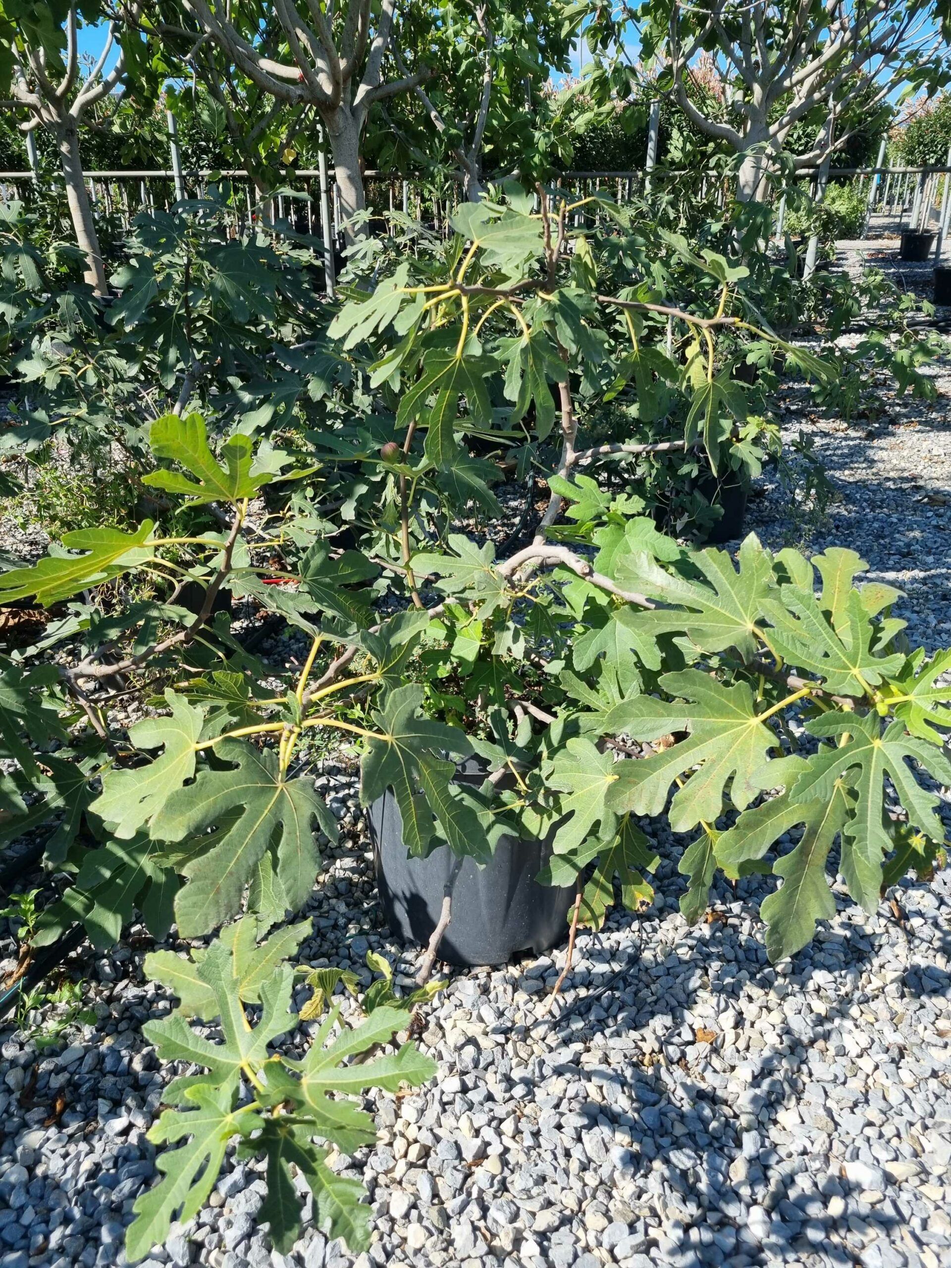 1663752534 scaled f05ce6be