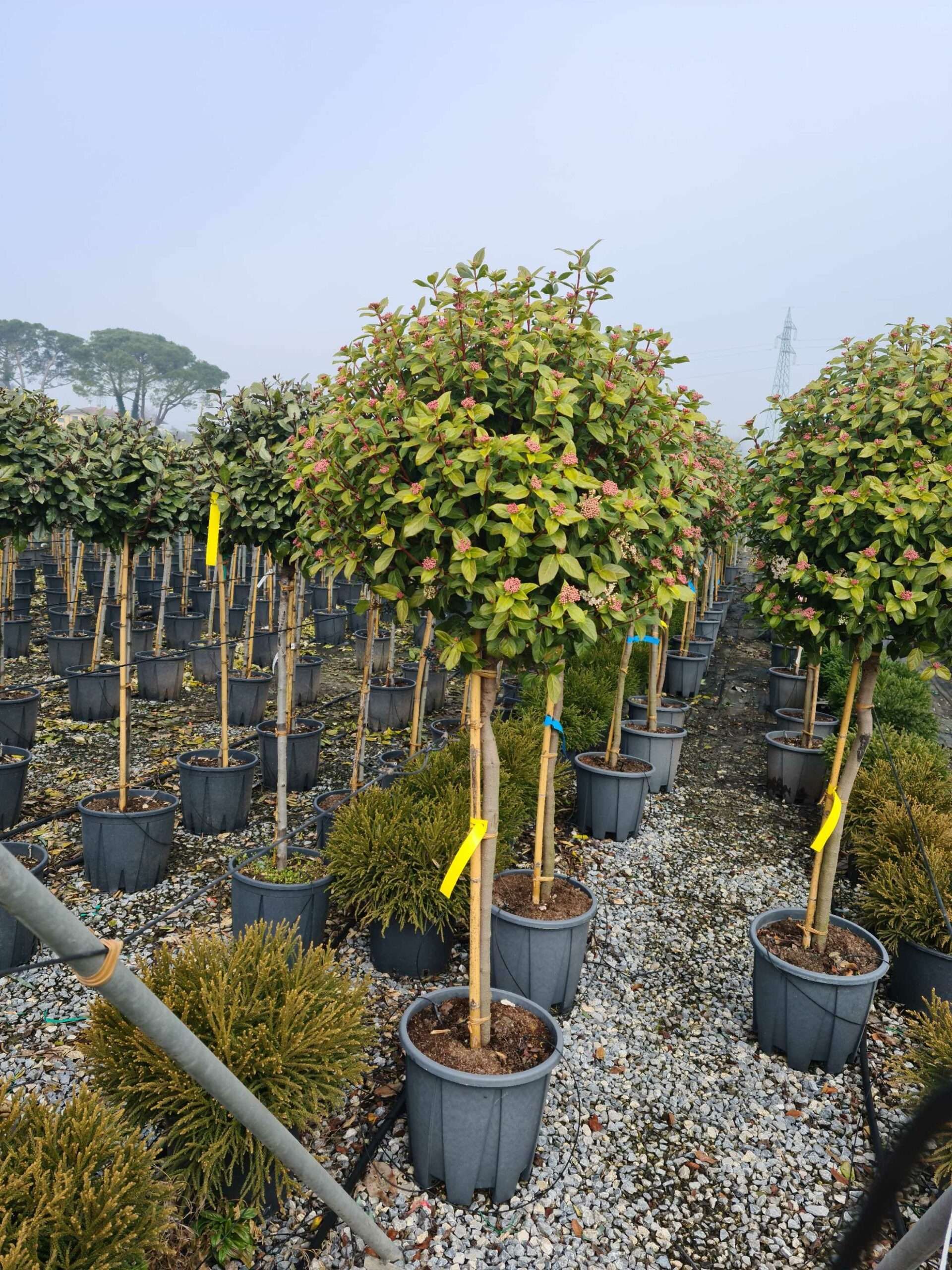 1676454516 scaled f05be7b2