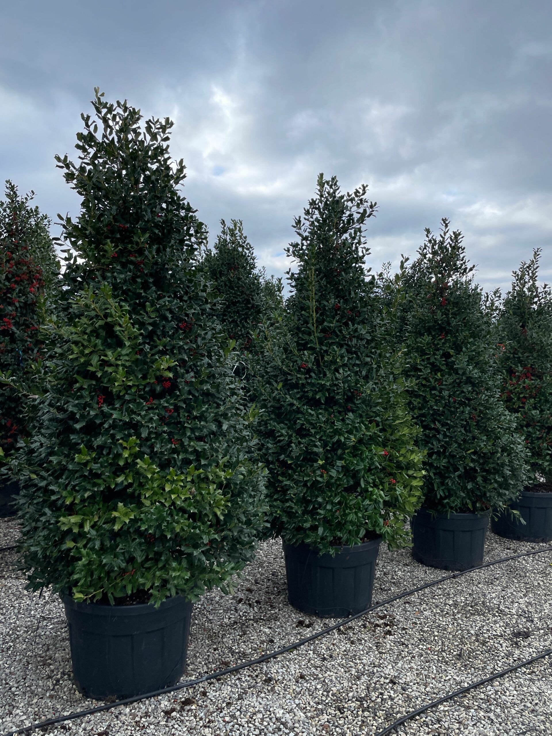 1677835407 scaled f061363c