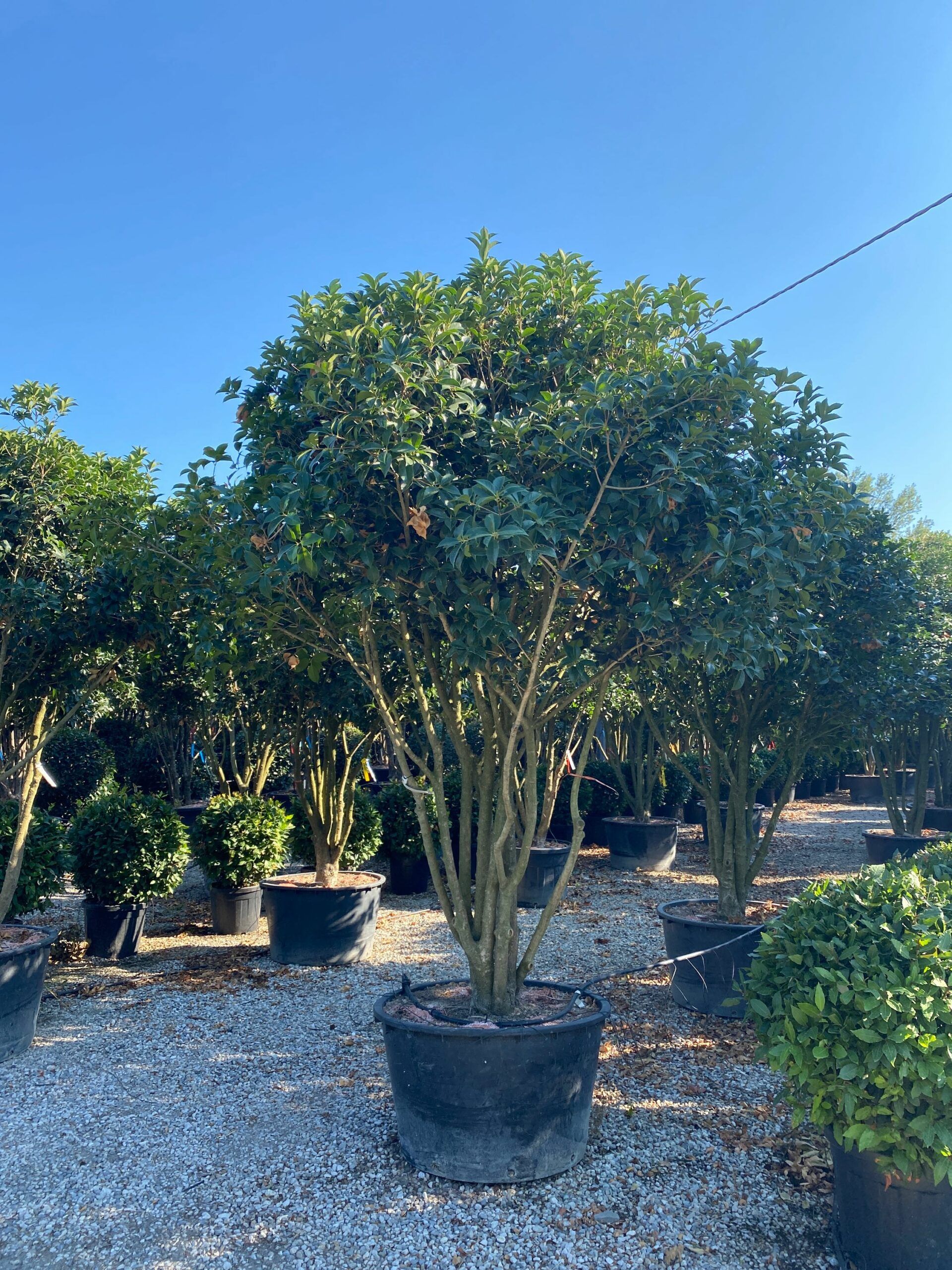 1631112730 scaled f1644a4c