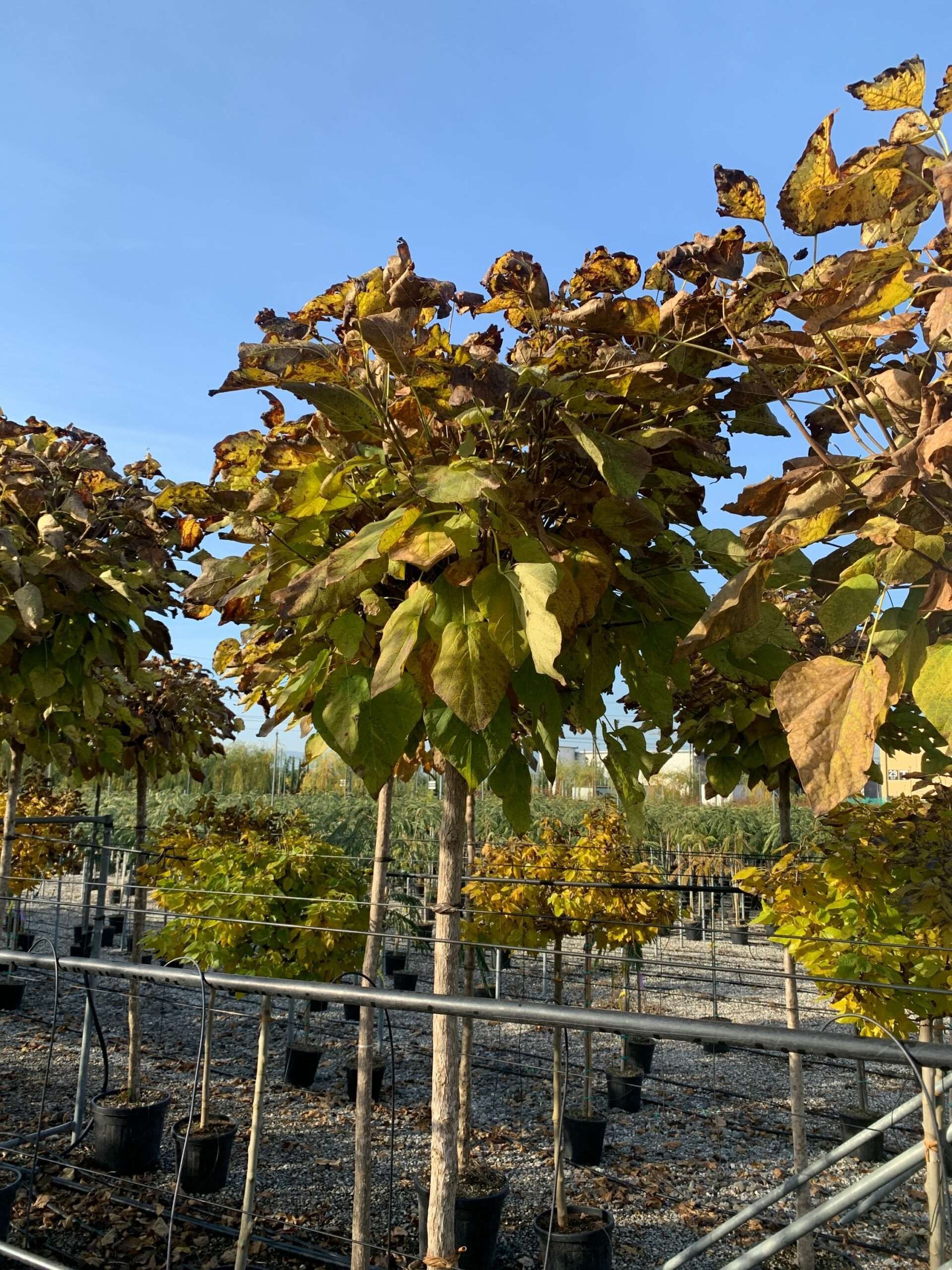 1635494156 scaled f1764ba4