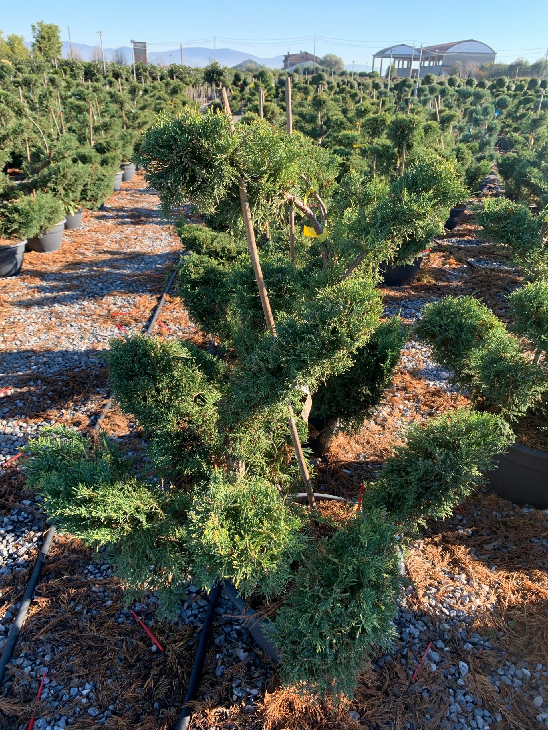 1638270014 scaled f1c2e834