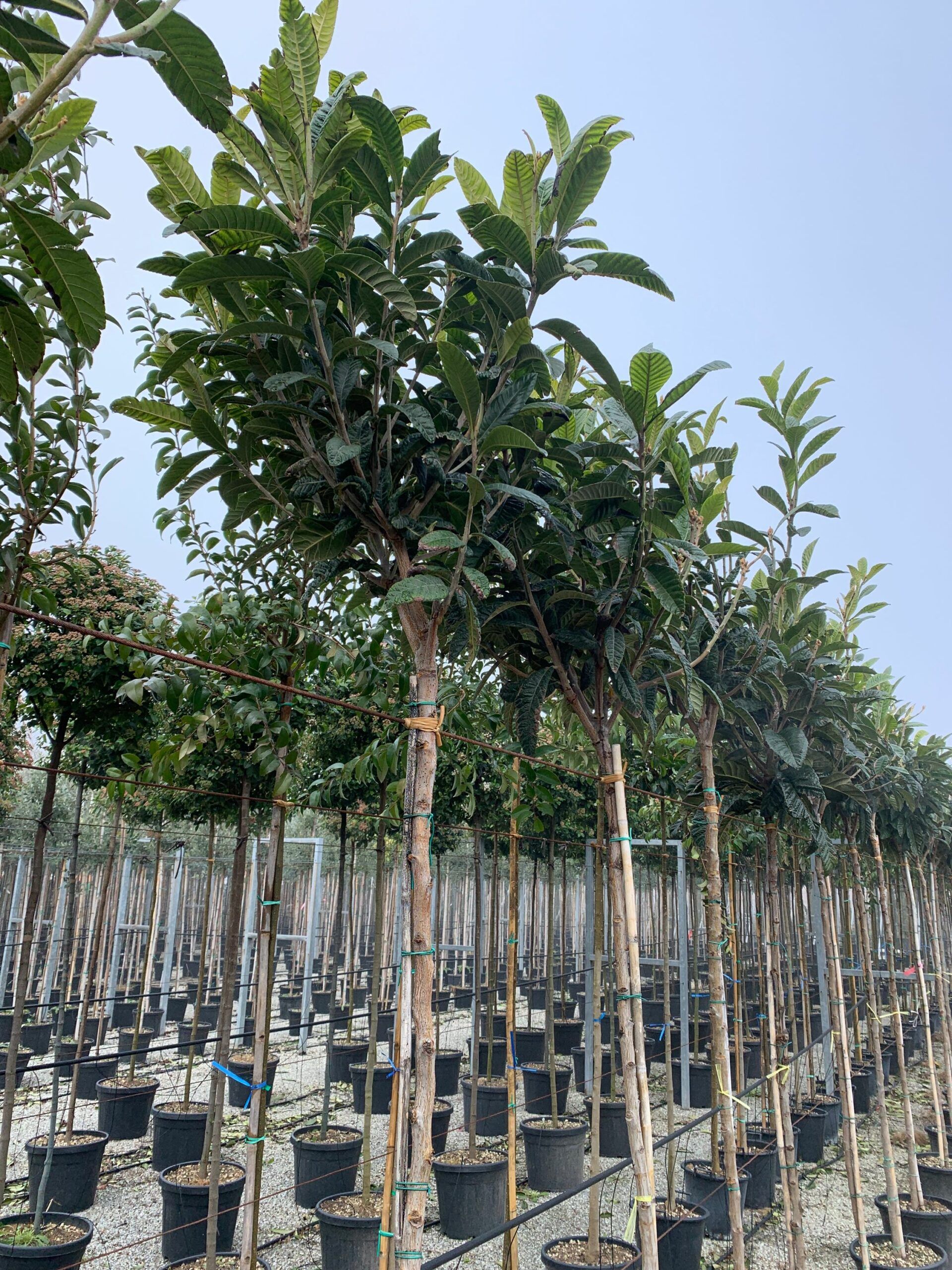 1642415790 scaled f15246cb