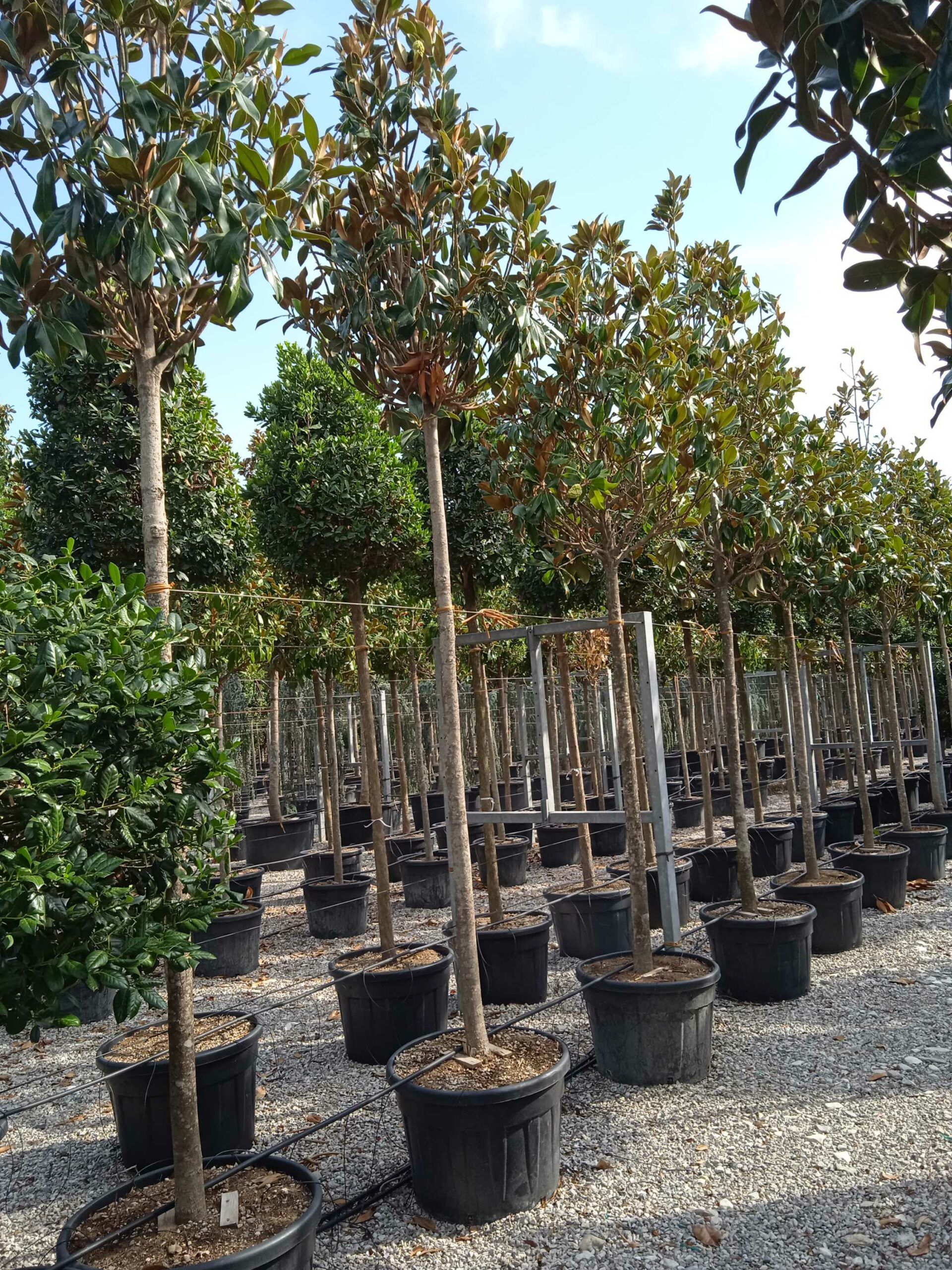 1661869280 scaled f17a519c