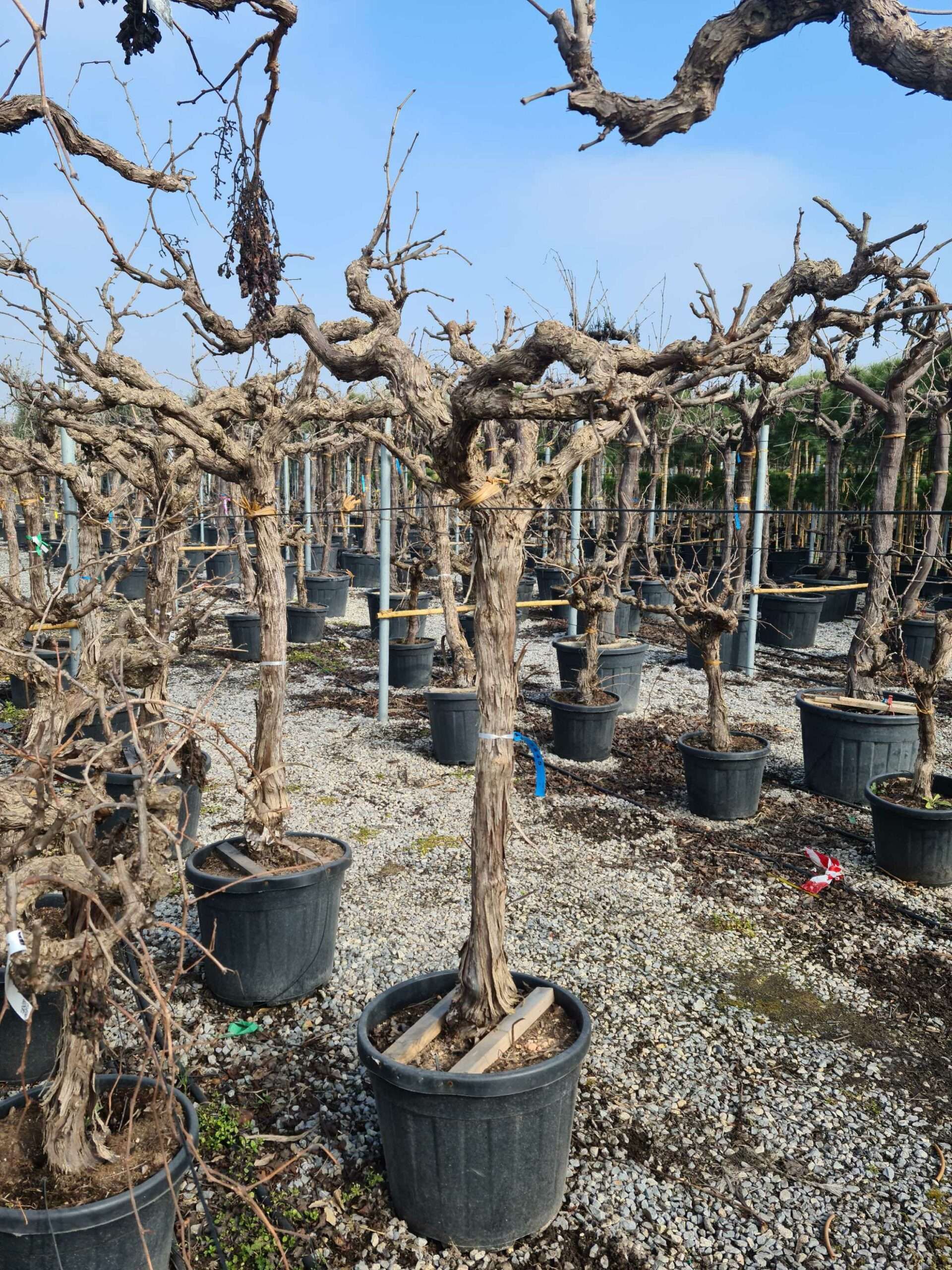 1676459682 scaled f17862e6