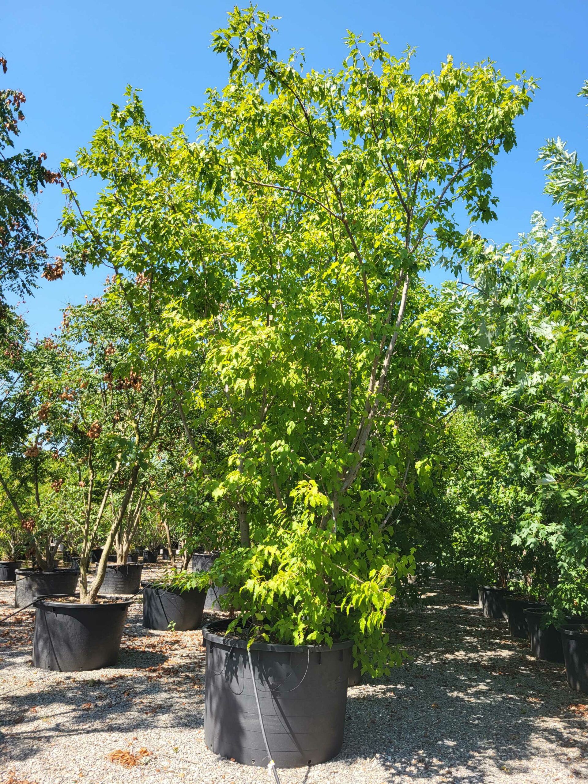 1692610874 scaled f1f48d7e