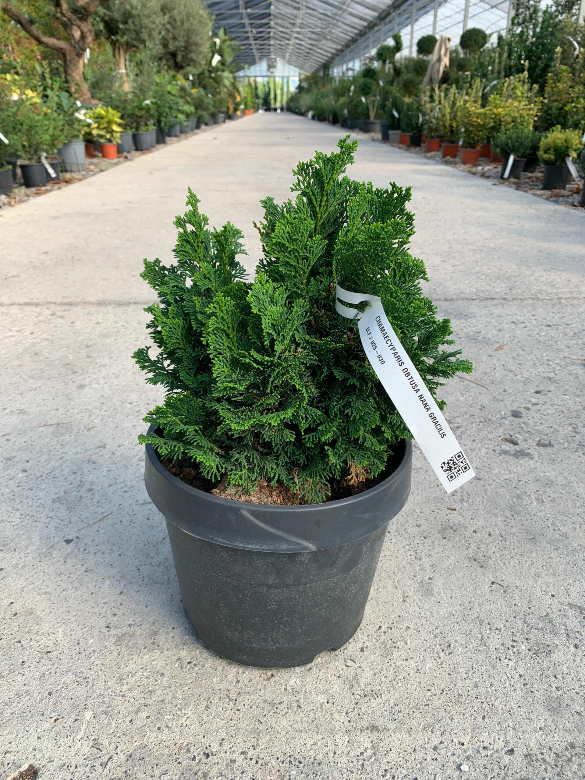 1634977270 scaled f2ea33b2