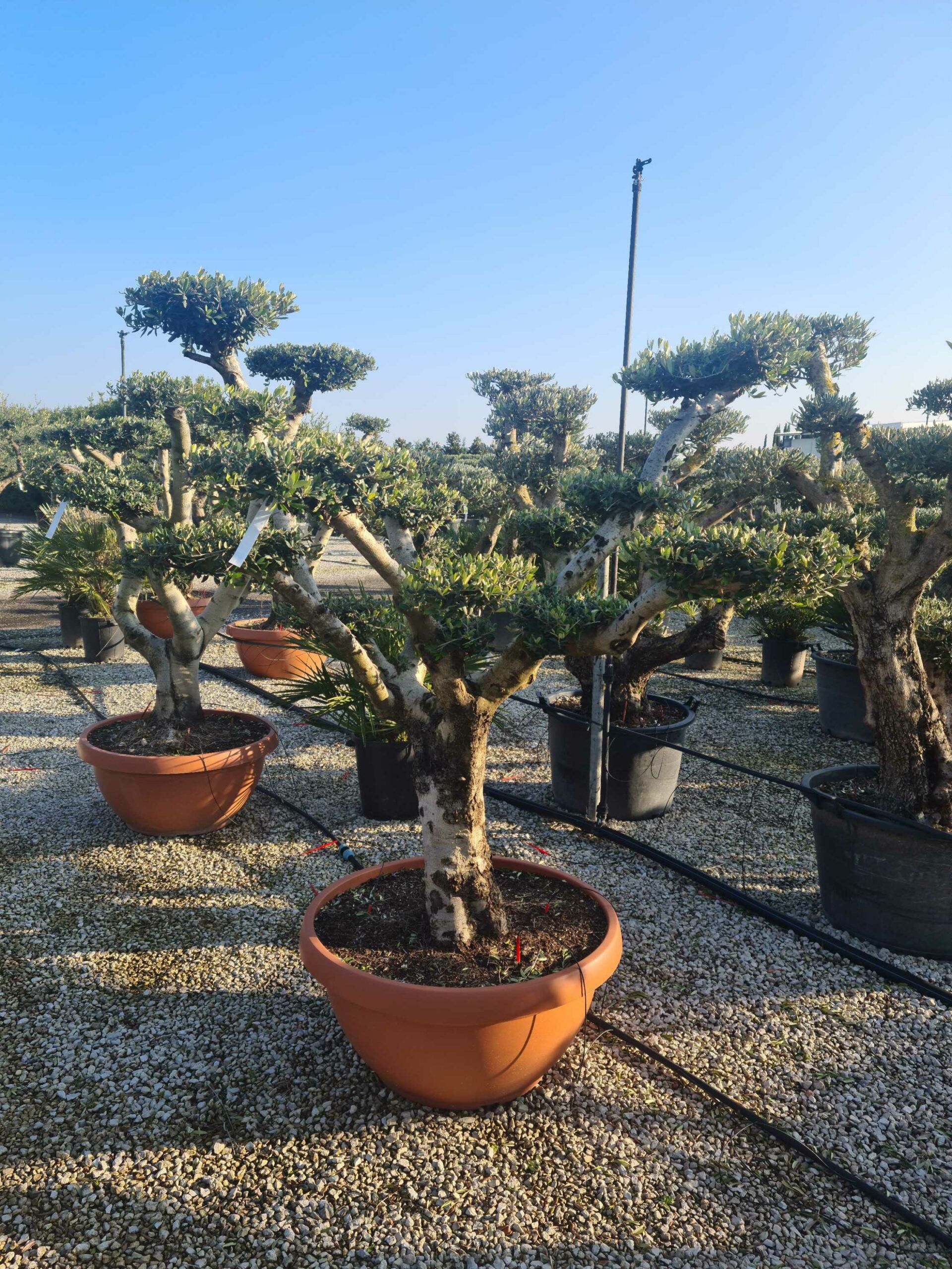 1642774290 scaled f2f6da92