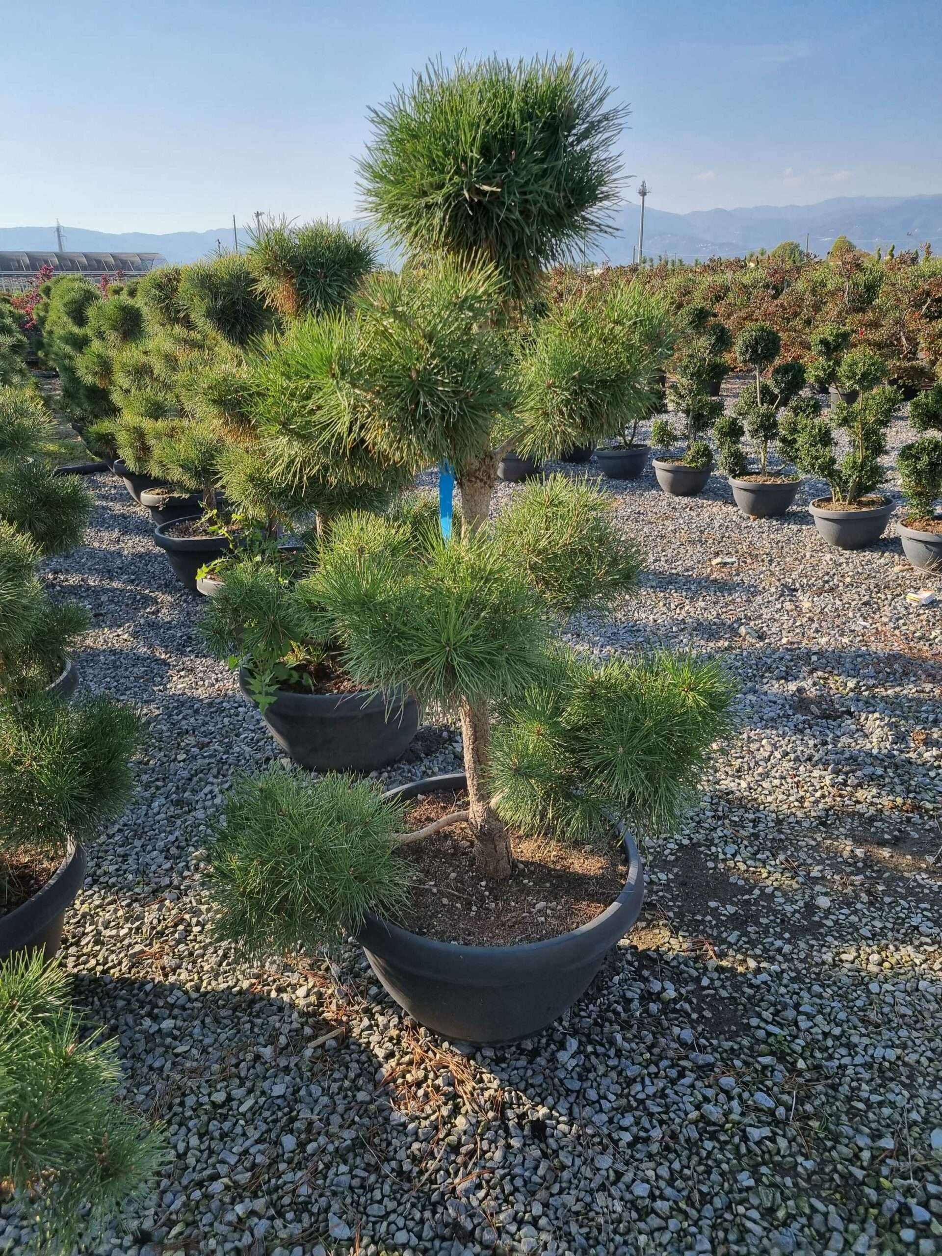 1665152652 scaled f2e97ecf