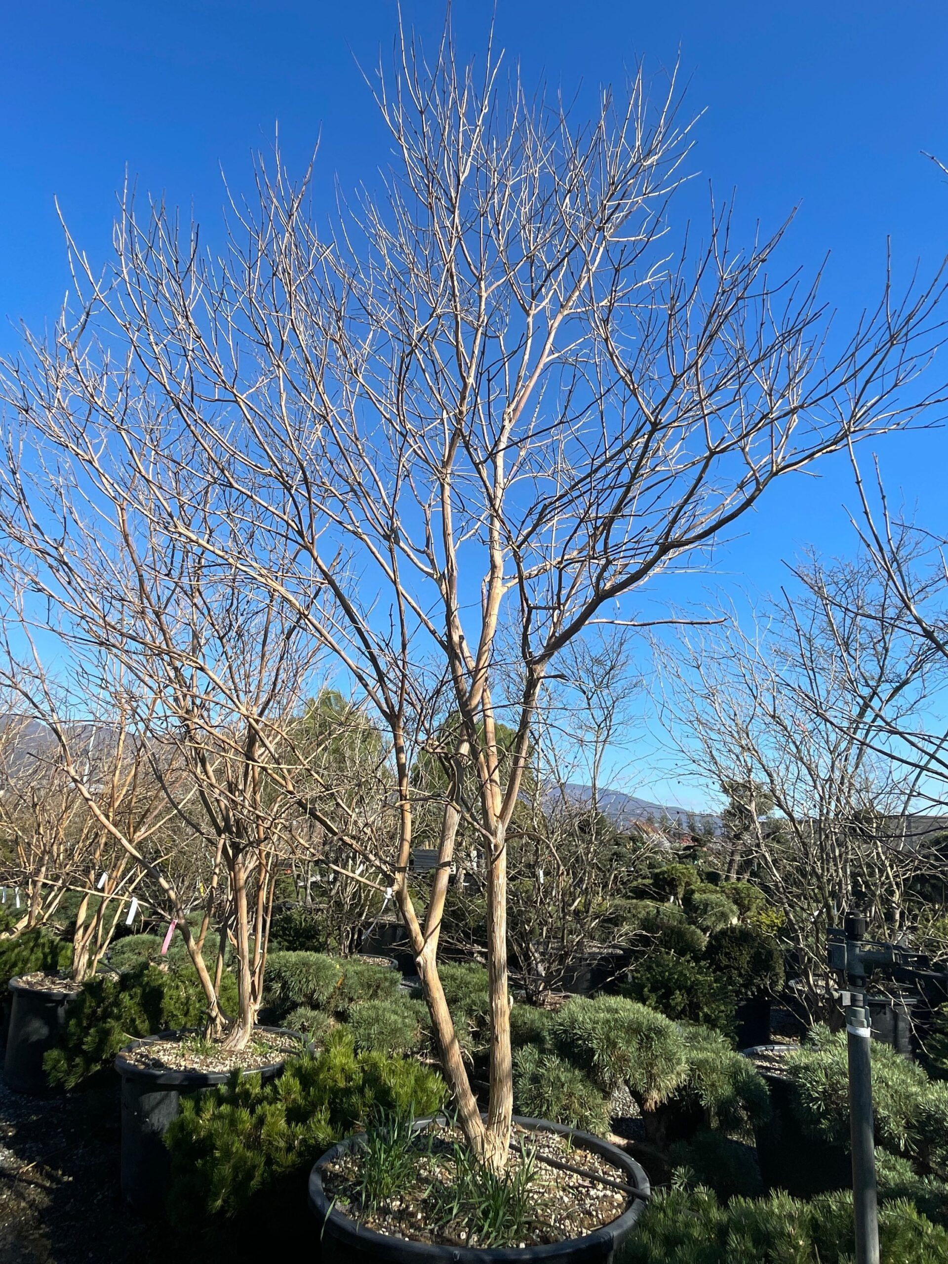 1675683849 scaled f2cecc5f