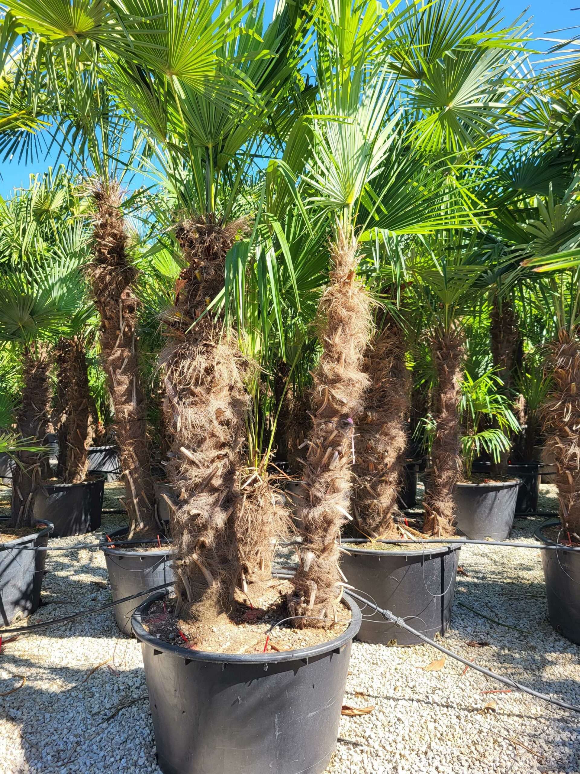 1691482934 scaled f202d373