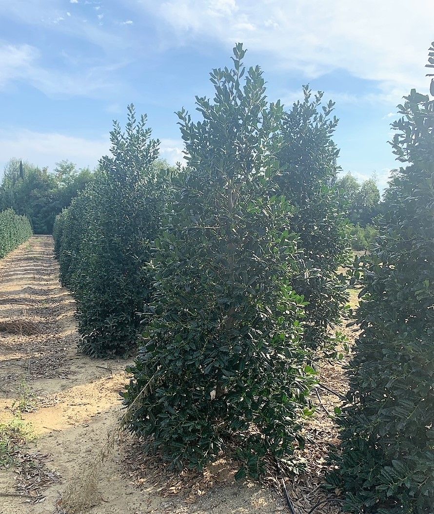 1610790325 n f3e2bfb4