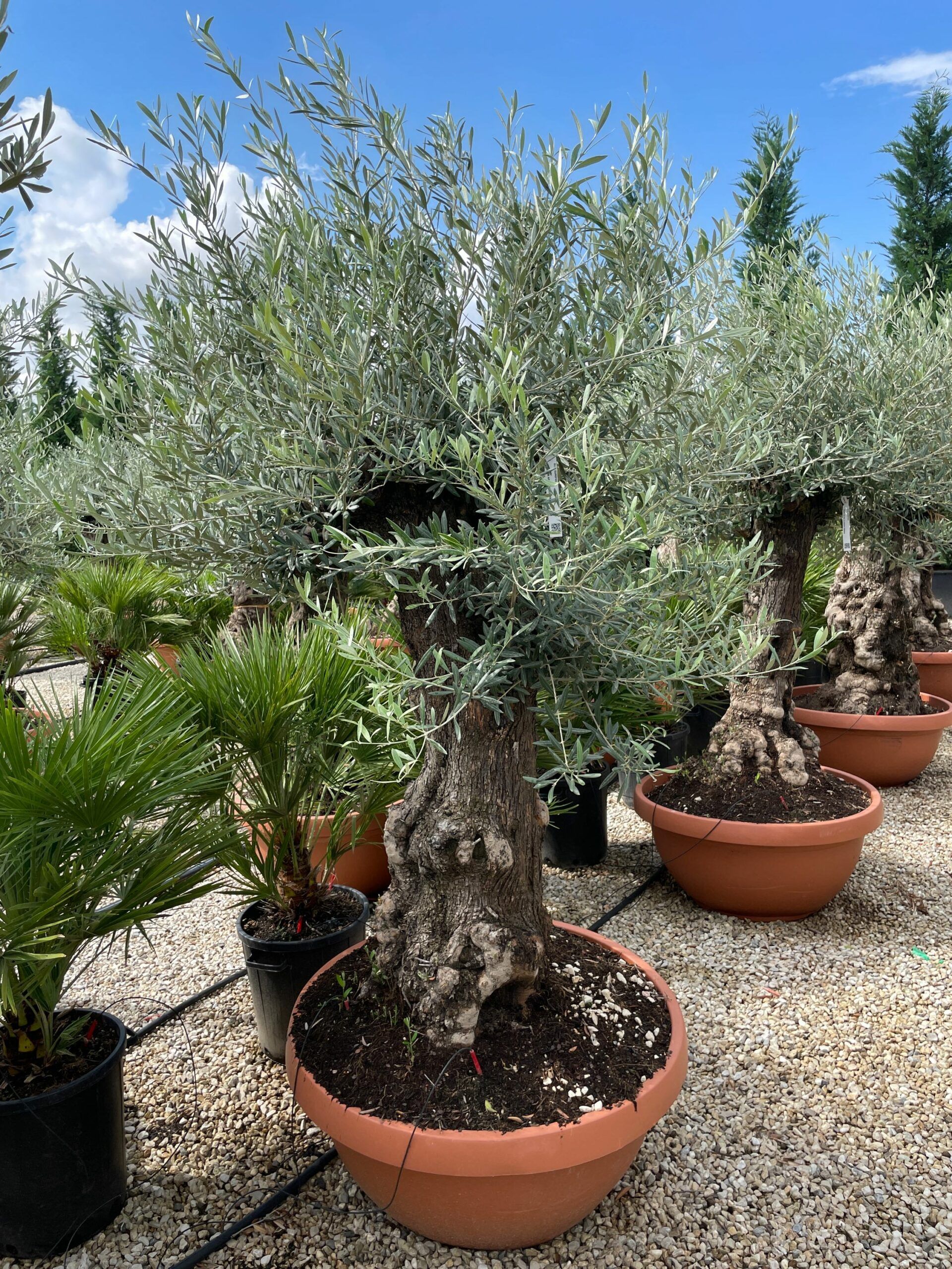 1631960874 scaled f37f686f