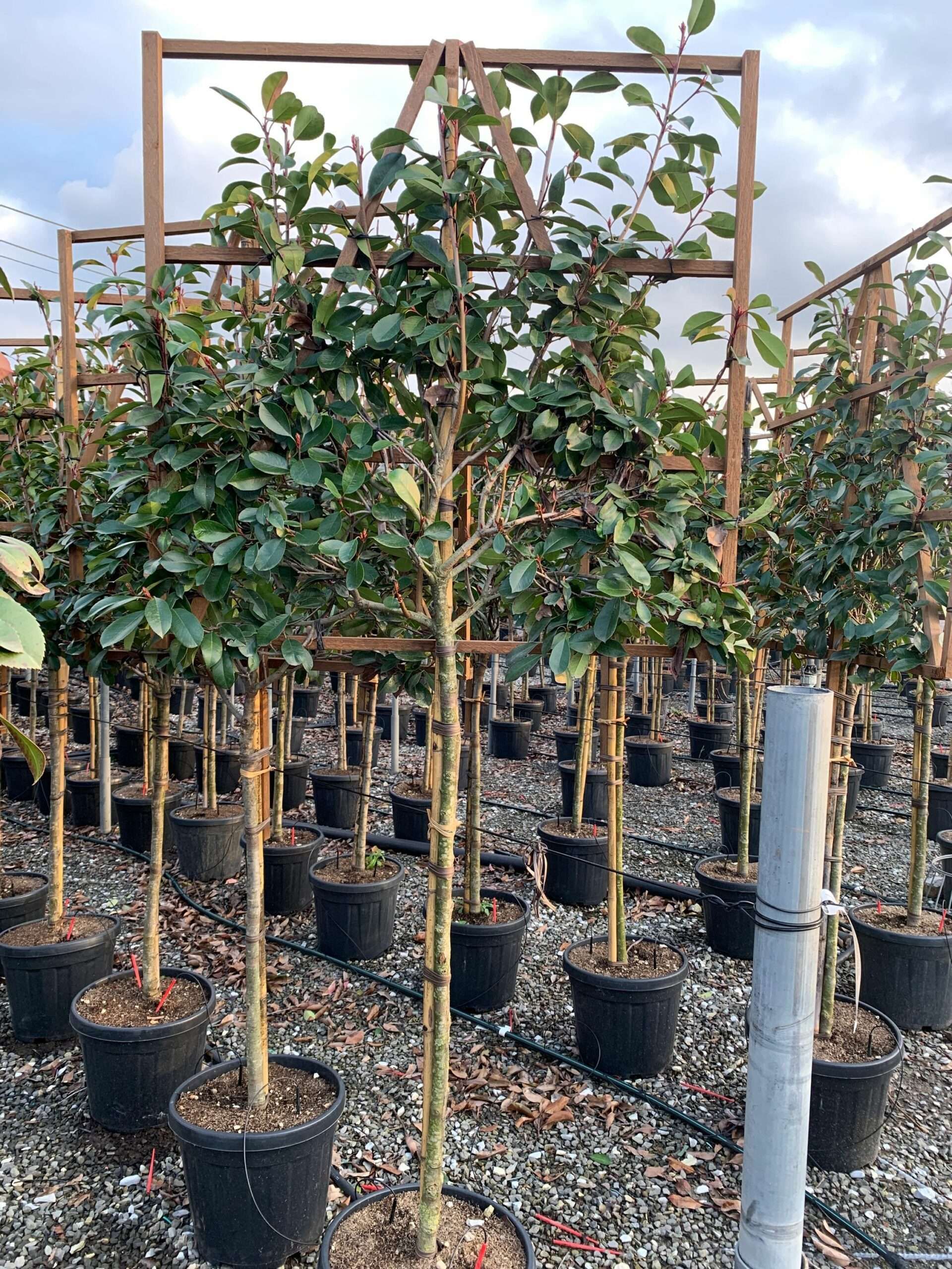 1642691615 scaled f31f2094